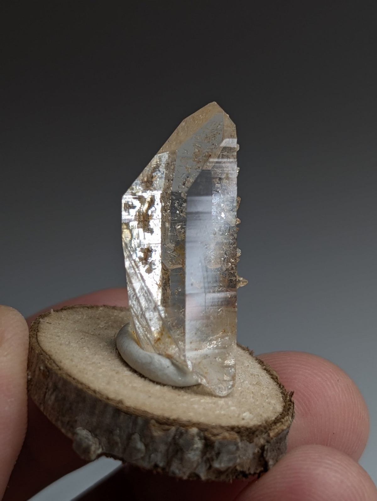 Optical Quartz Crystal Point, Montgomery County, Arkansas, USA, w/ wood mount