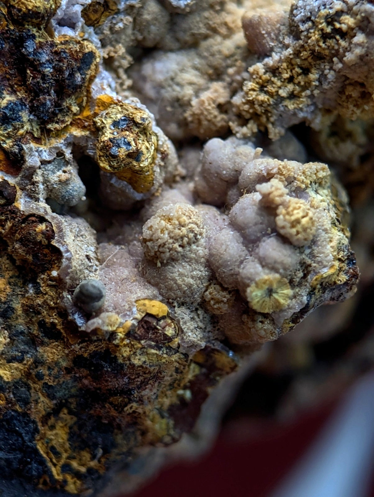 Super Rare Strengite + Cacoxenite, etc, Coon Creek Mine, Polk Co, Arkansas, USA