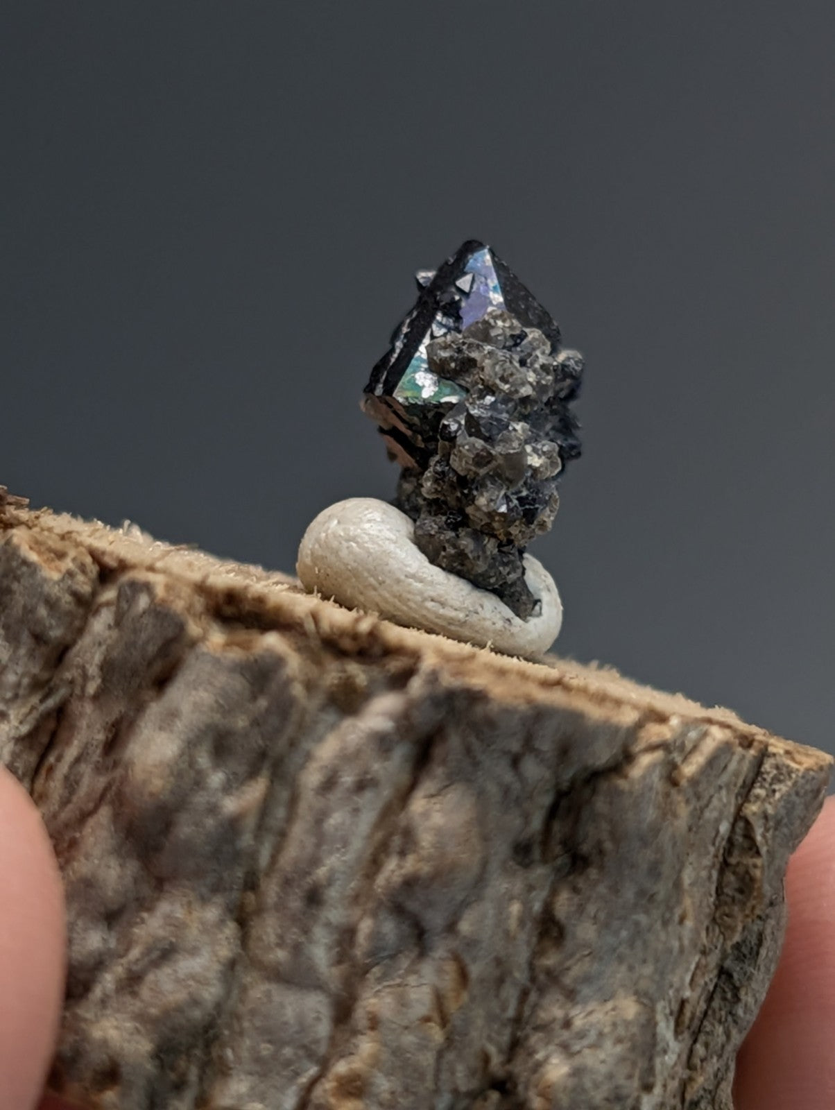 Brookite w/natural iridescence , Magnet Cove, Hot Spring Co. Arkansas, Old Stock