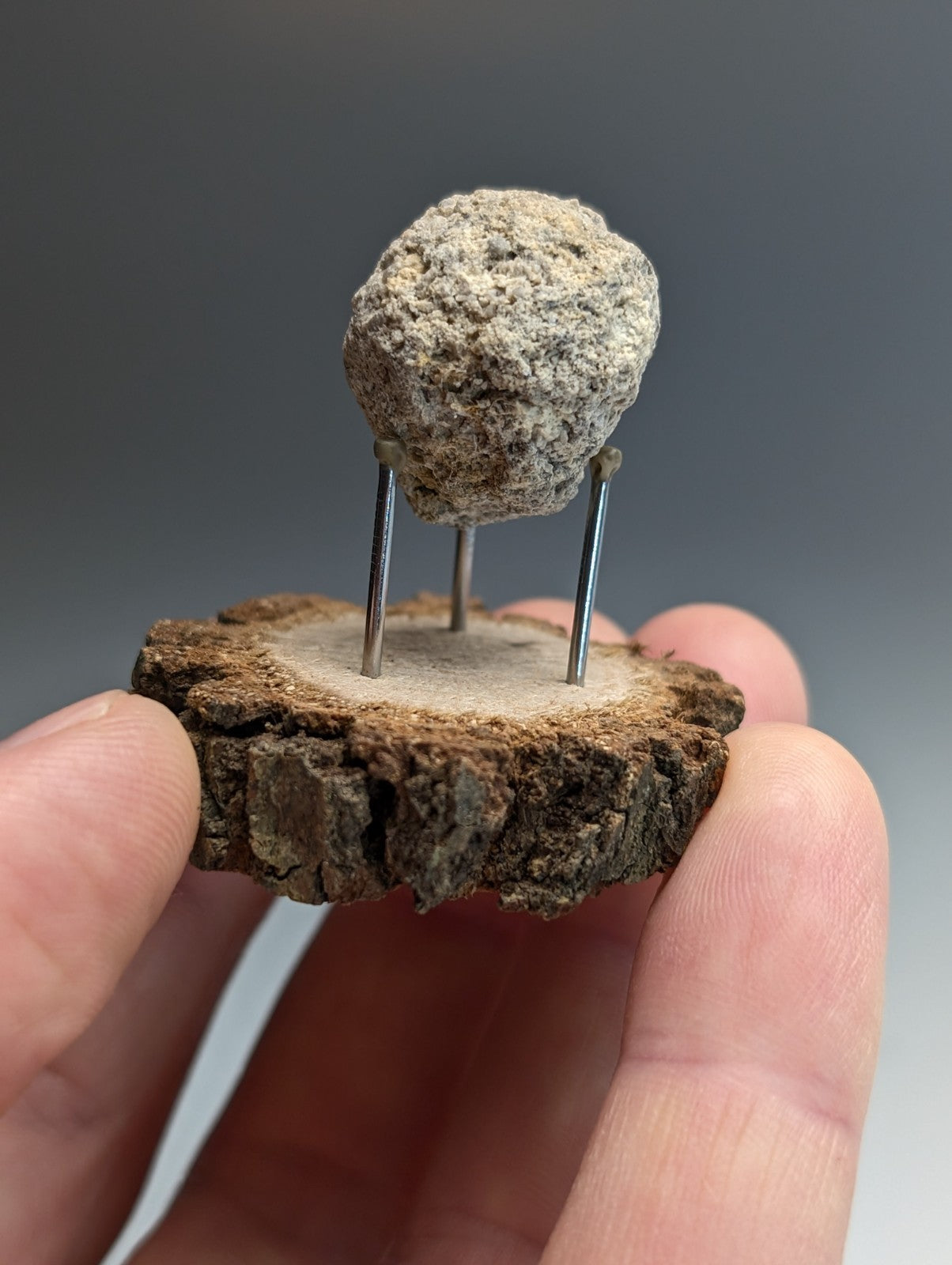 Pseudoleucite, Magnet Cove, Hot Spring County, Arkansas, Old Stock, w/wood stand