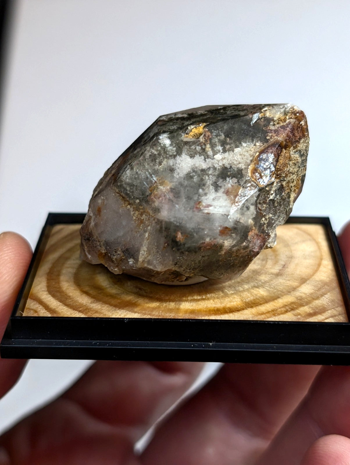 UNIQUE Phantom Quartz, w/ wood mount + photo case  - Garland County, Arkansas