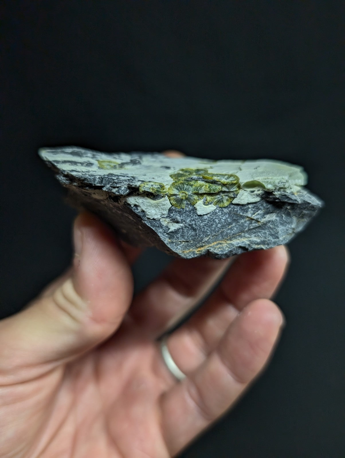 UV Reactive Wavellite - Fantastic Old Stock - Mauldin Mountain, Arkansas, Rare