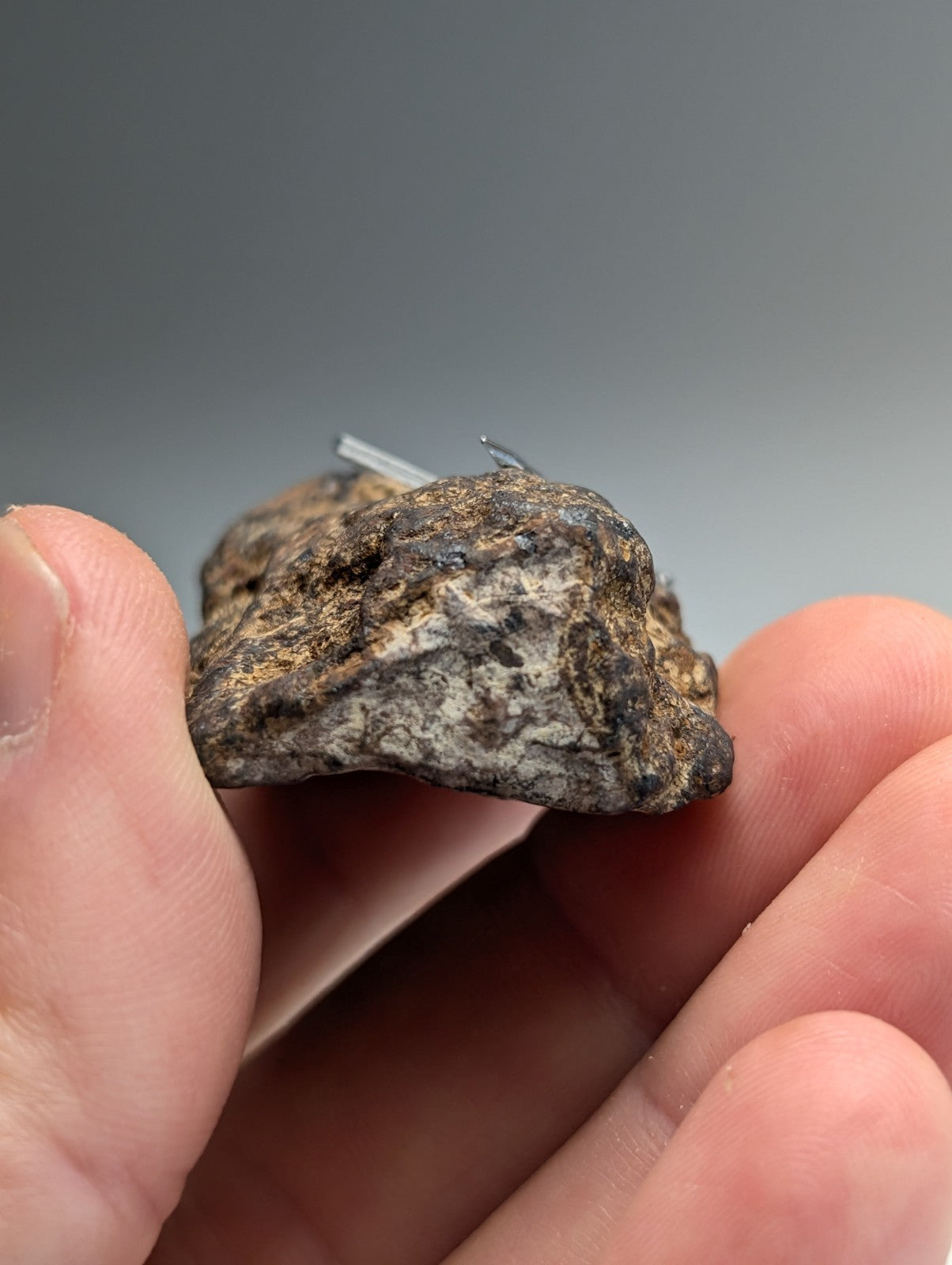 Magnetite (lodestone), Magnet Cove, Hot Spring County, Arkansas, Natural Magnet!