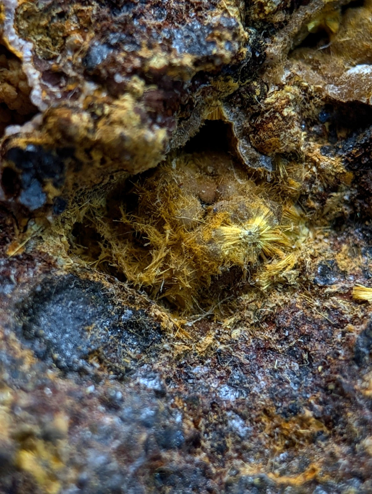 Super Rare Strengite + Cacoxenite, etc, Coon Creek Mine, Polk Co, Arkansas, USA