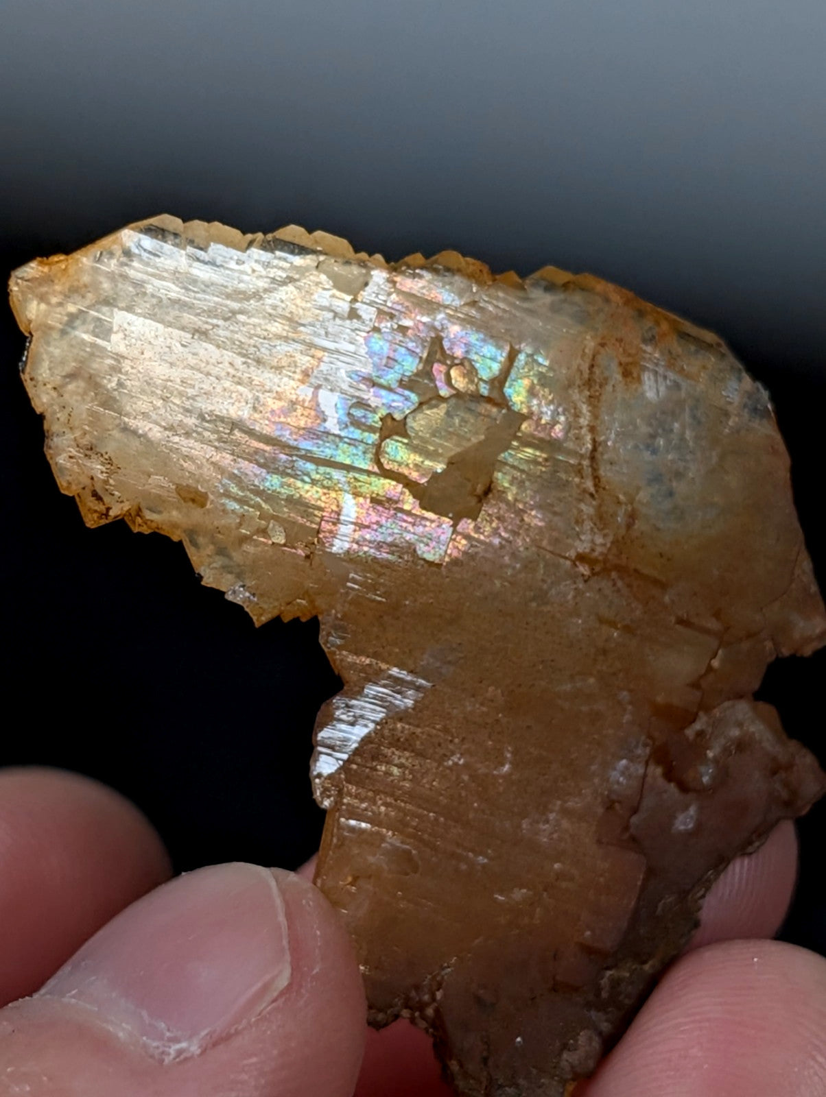 Rare Faden Sheet Quartz Crystal w/ Rainbows, Garland County, Arkansas, USA, A+