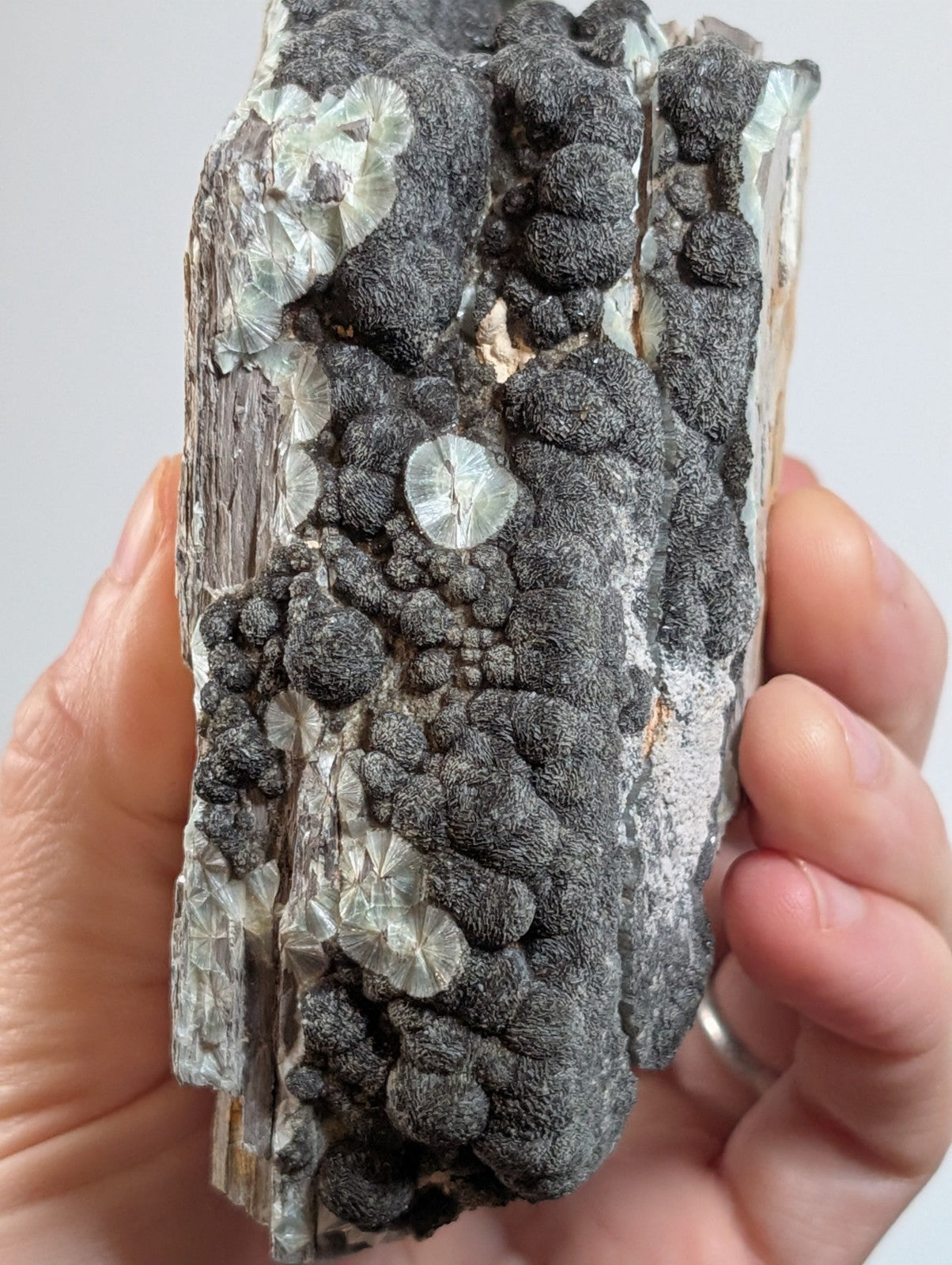 Black Wavellite - Fantastic Old Stock - Mauldin Mountain, Arkansas, USA, Rare