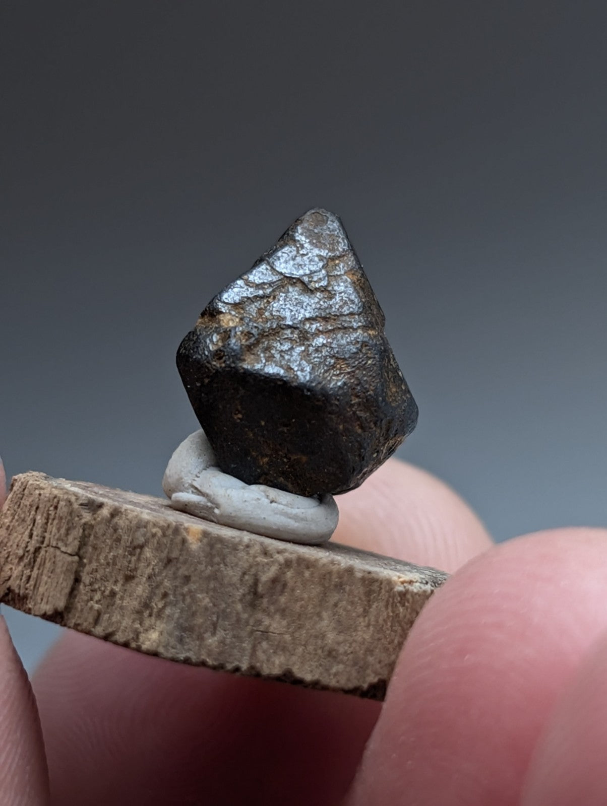 Magnetite Crystal, Magnet Cove Igneous Complex, Arkansas, Old Stock, +wood stand