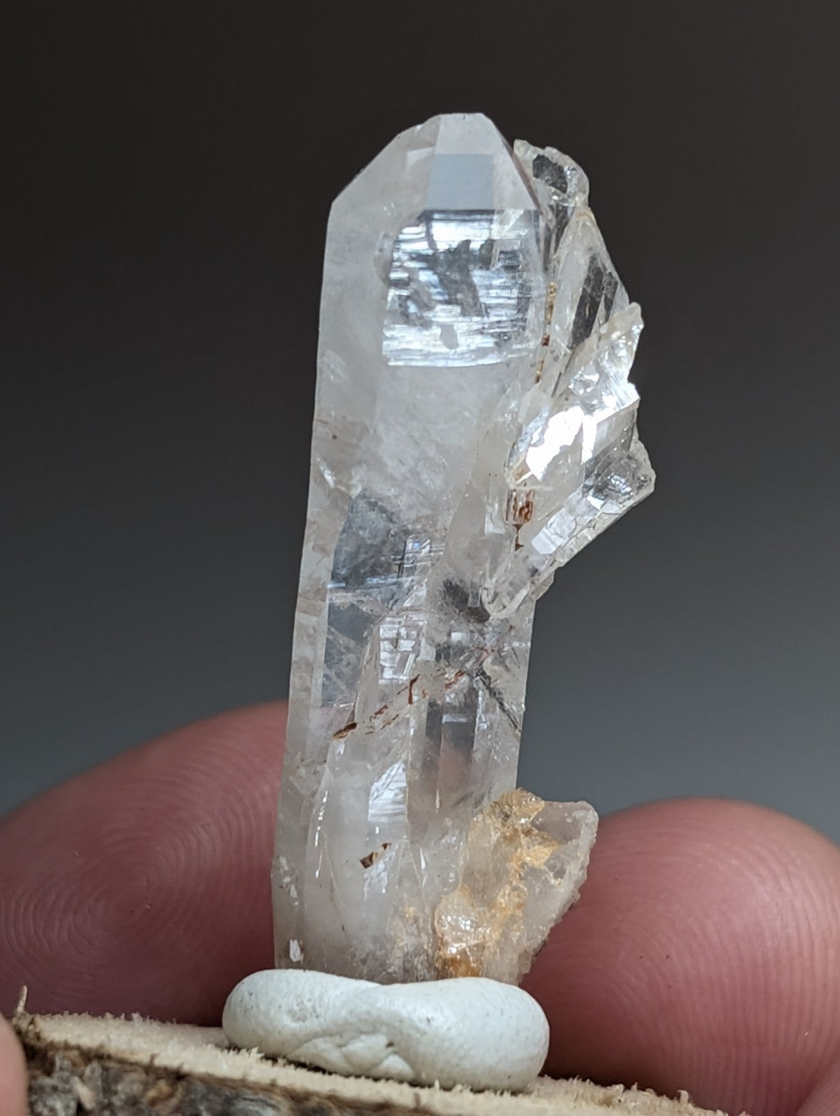 Unique Faden Quartz Crystal, Montgomery County, Arkansas, USA, w/ wood mount