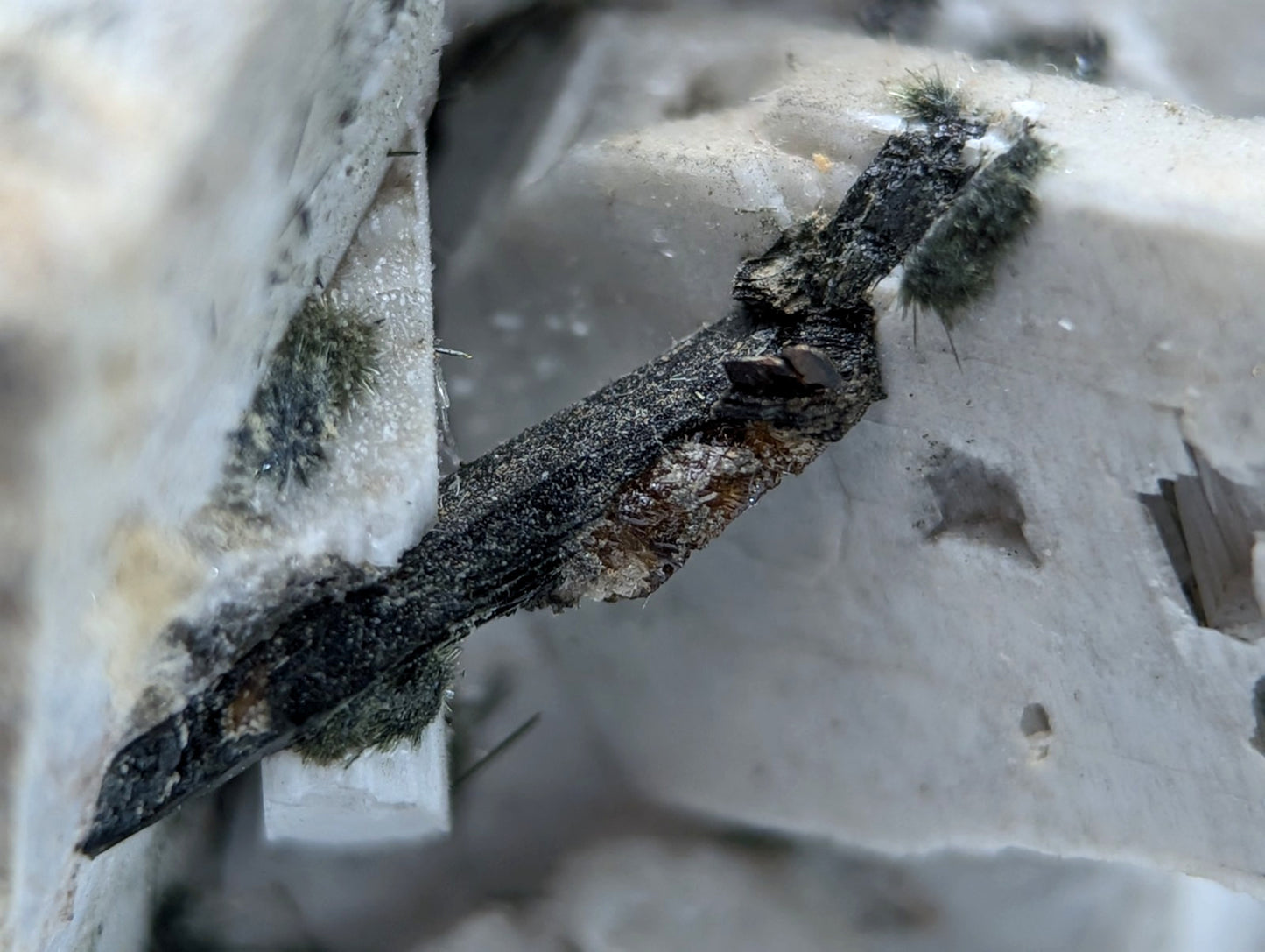 Albite, Biotite, Aegerine, Analcime, 3M Quarry, Little Rock, Arkansas, Delinde!