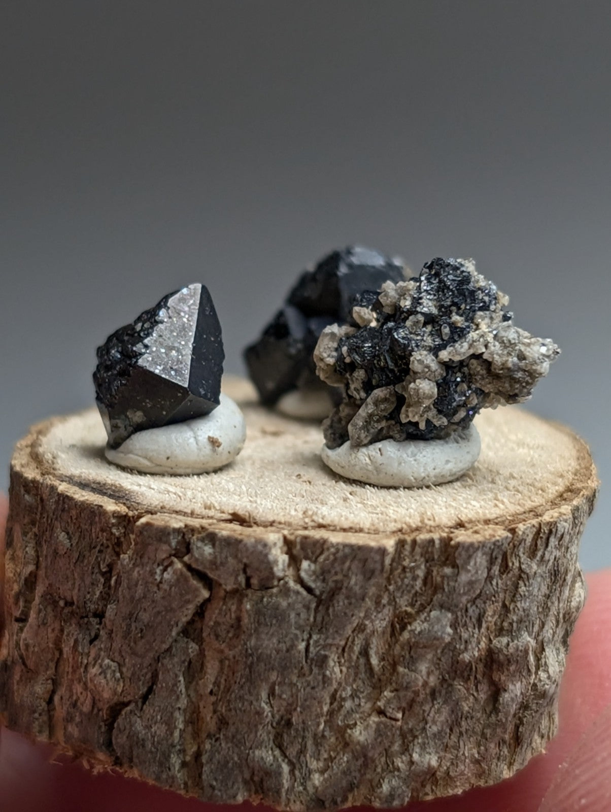 Set of 3 Brookite + Smoky Quartz, Magnet Cove, Arkansas, Old Stock, + wood stand