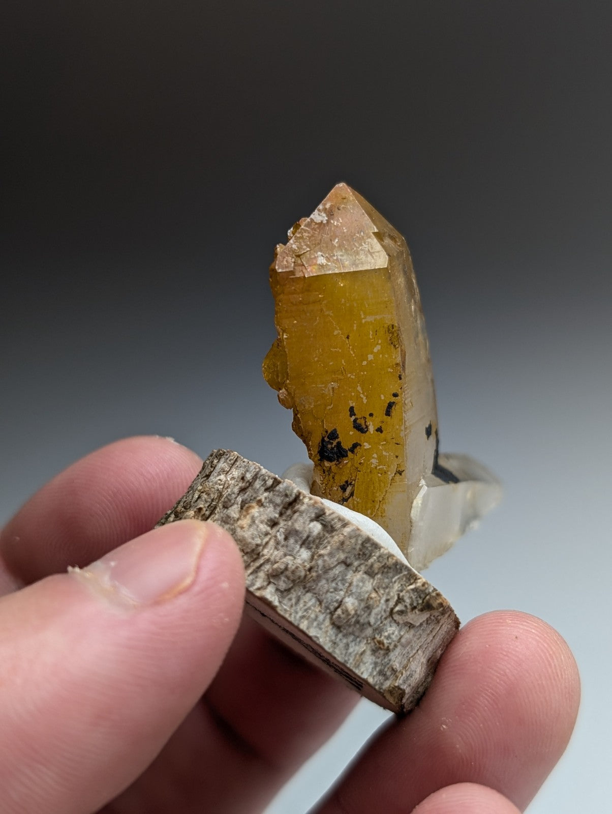 A+ Unique Quartz, Old Stock, Montgomery County, Arkansas, w/ natural wood base