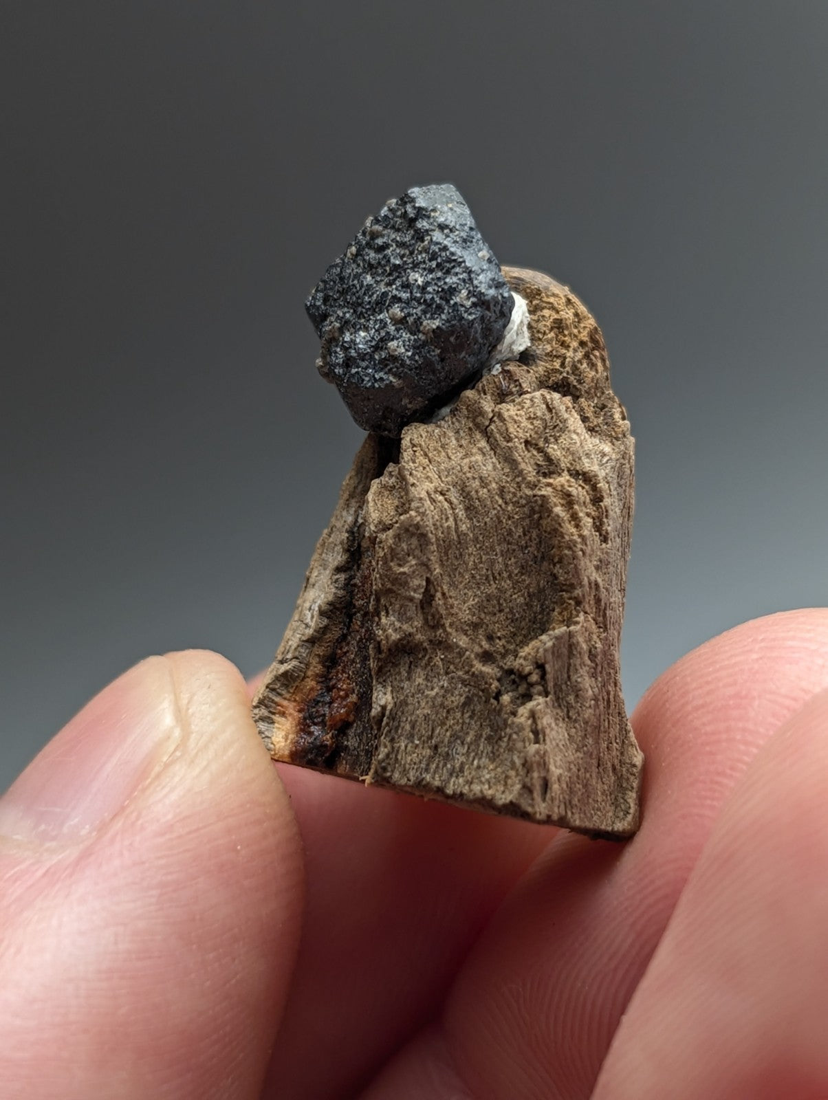 Brookite crystal, Magnet Cove, Hot Spring Co. Arkansas, Old Stock, + wood stand