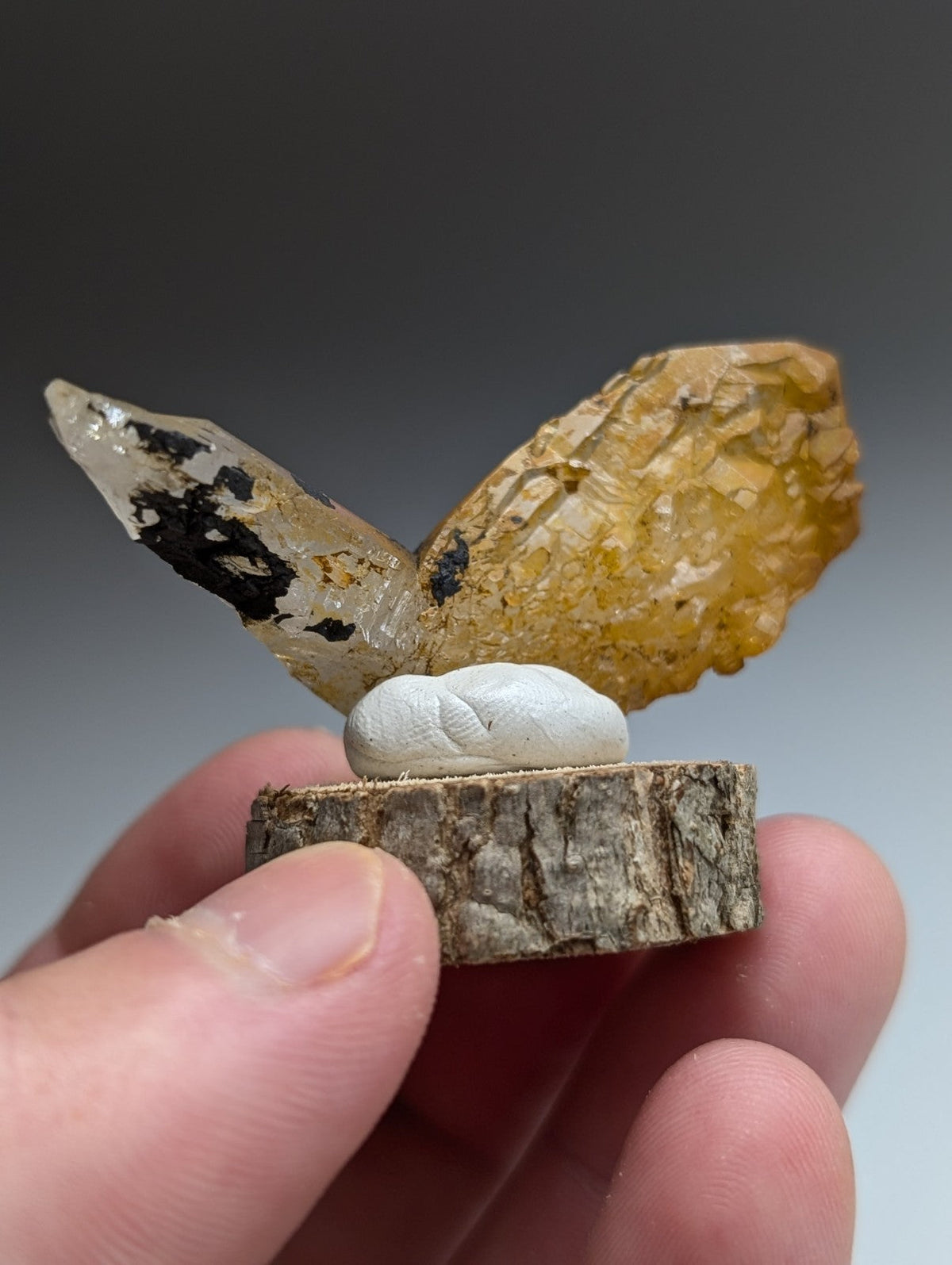 A+ Unique Quartz, Old Stock, Montgomery County, Arkansas, w/ natural wood base