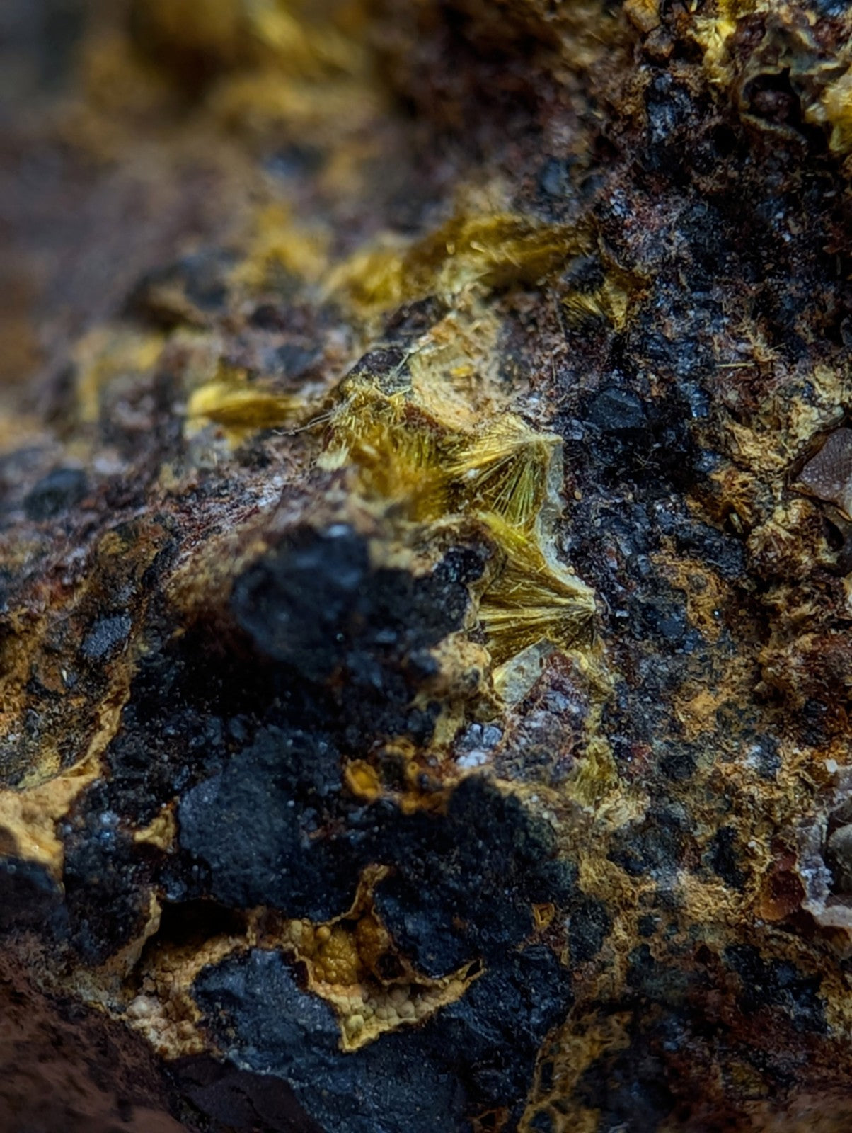 Super Rare Strengite + Cacoxenite, etc, Coon Creek Mine, Polk Co, Arkansas, USA