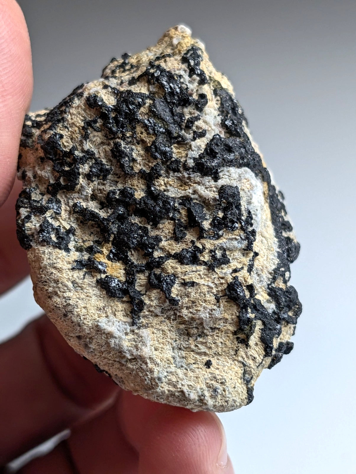 Garnet on Syenite matrix, Magnet Cove, Hot Spring County, Arkansas, Old Stock