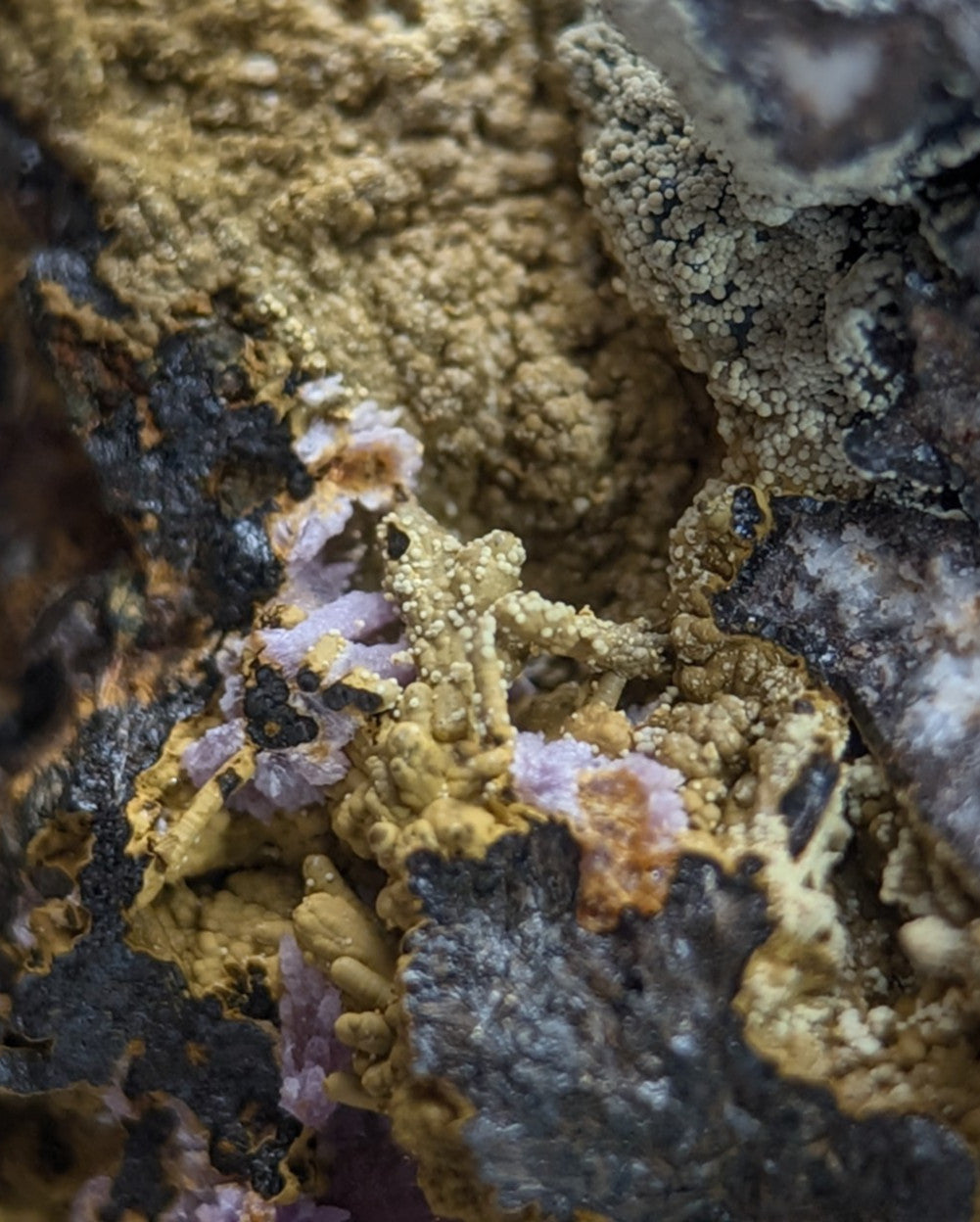 Super Rare Strengite + Kidwellite, etc, Coon Creek Mine, Polk Co, Arkansas, A+++