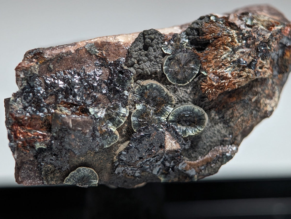 Rare Kidwellite on Novaculite - Coon Creek, Polk County, Arkansas, w/ photo case