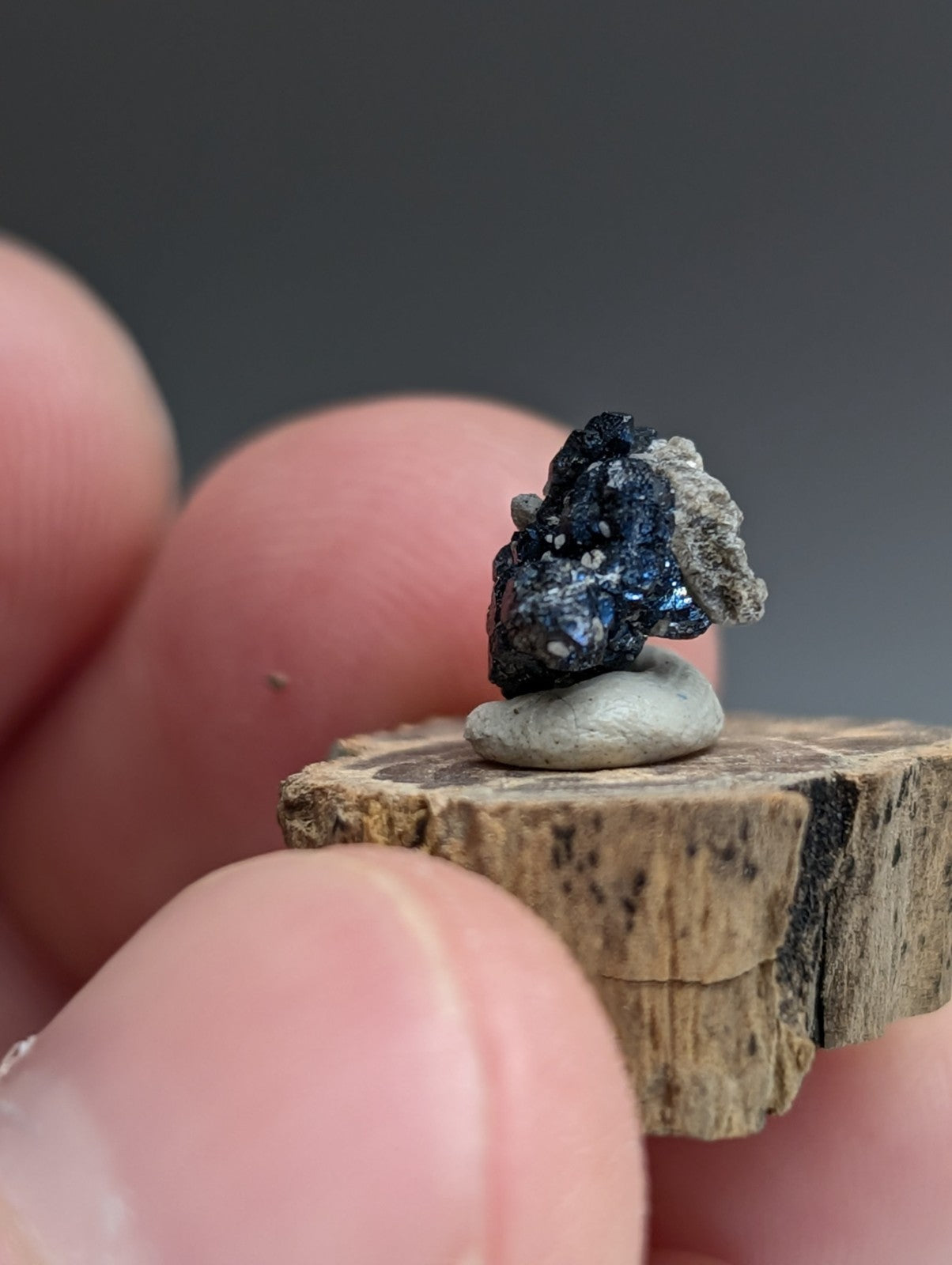 A+ Unique Brookite Crystal, Magnet Cove, Arkansas, Old Stock, + wood stand