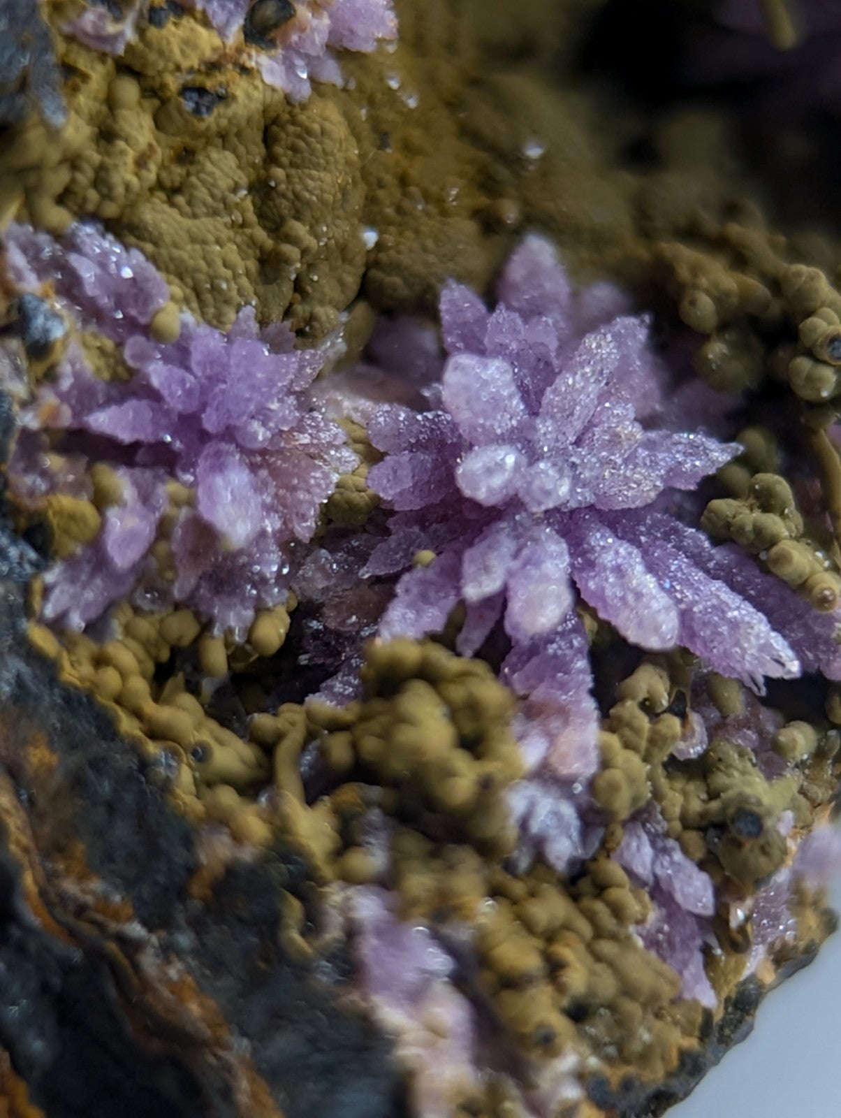 Super Rare Strengite + Kidwellite, etc, Coon Creek Mine, Polk Co, Arkansas, A+++