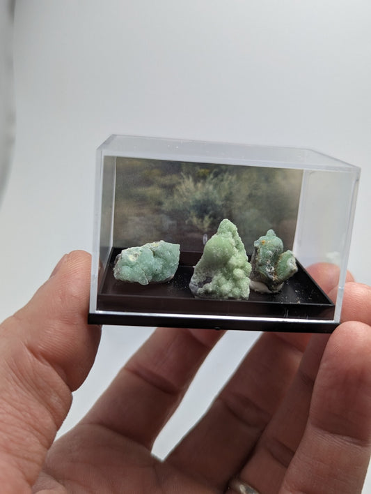 Wavellite - Unique Set of 3 w/ case - Old Stock - Mauldin Mountain, Arkansas