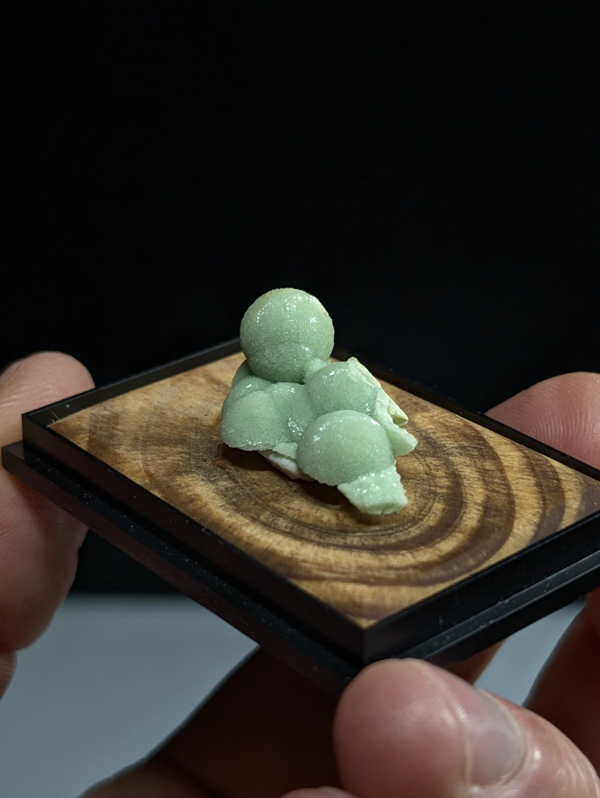 Wavellite, w/ wood mount + photo case - Old Stock - Montgomery County, Arkansas