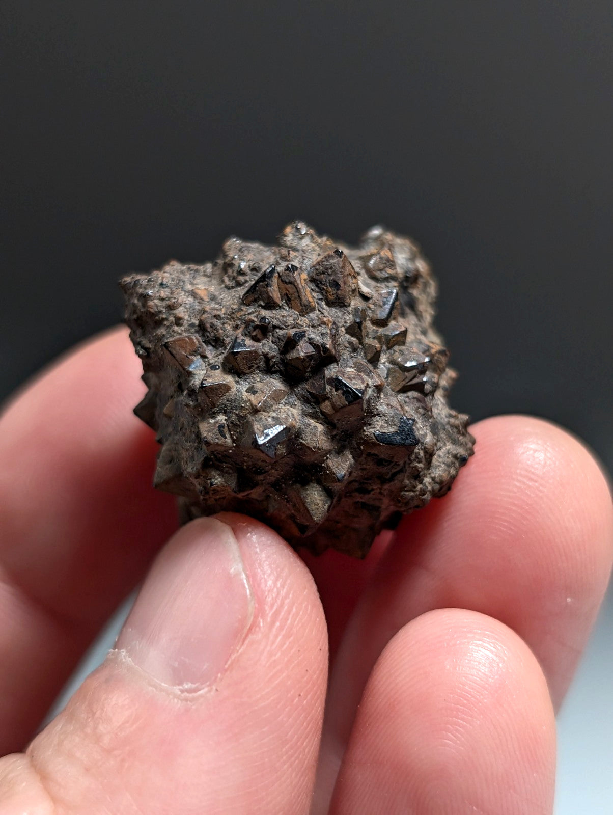 Limonite & Pyrite Pseudomorph, Benton County, Arkansas,  Ex Henry Delinde!
