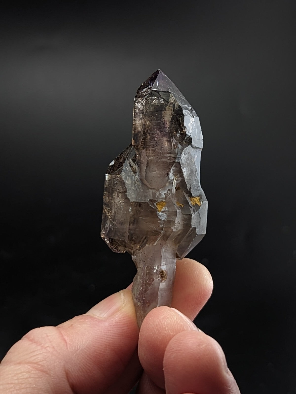 Shangaan Amethyst Scepter  Quartz Crystal from Chibuku Zimbabwe