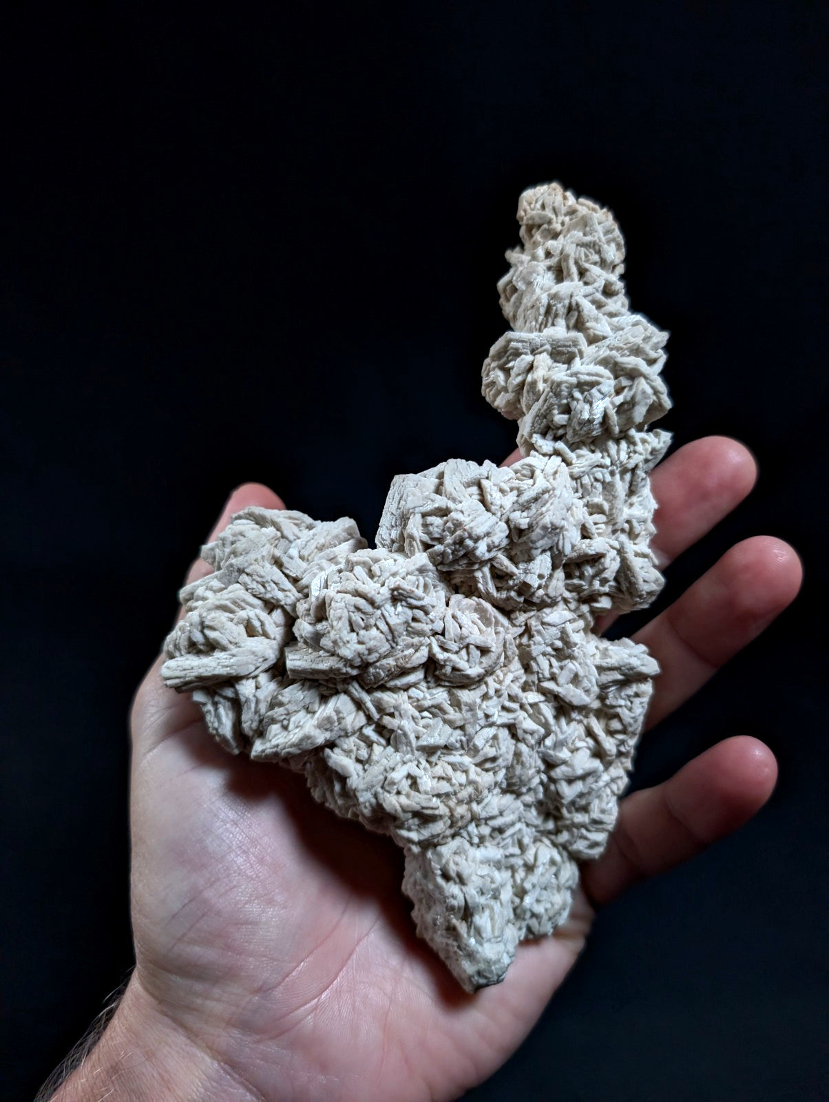 Albite, variety "cleavelandite", from Magnet Cove, Arkansas, 18 cm! UV Reactive!