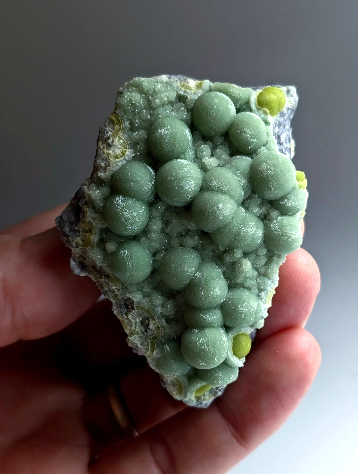 A+ Green Wavellite - Fantastic Old Stock - Mauldin Mountain, Arkansas, USA