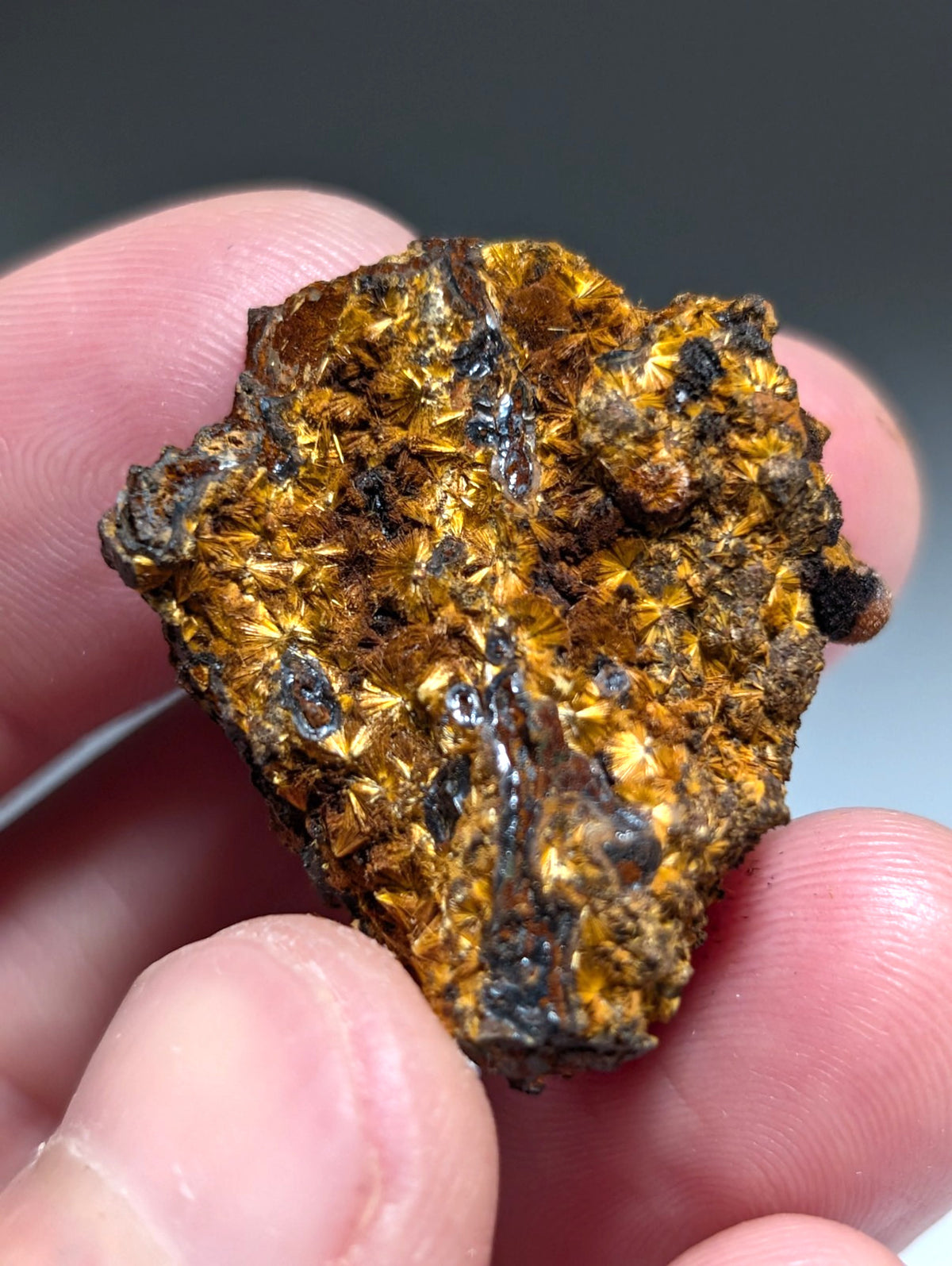 VERY RARE Strengite + Cacoxenite- Coon Creek, Polk County, Arkansas