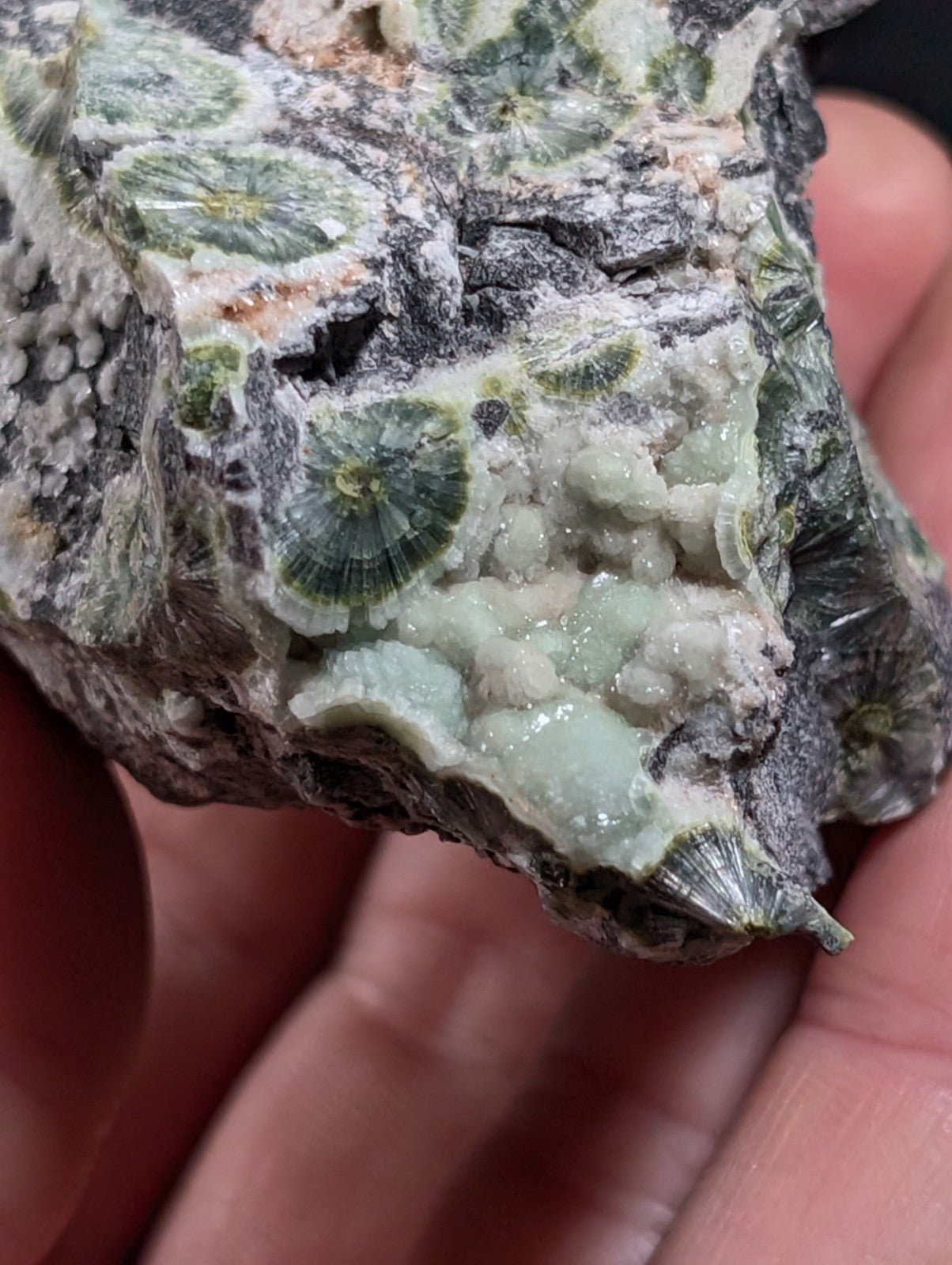 A+++ UV Reactive Wavellite -Old Stock- Mauldin Mountain, Arkansas, USA, RARE!