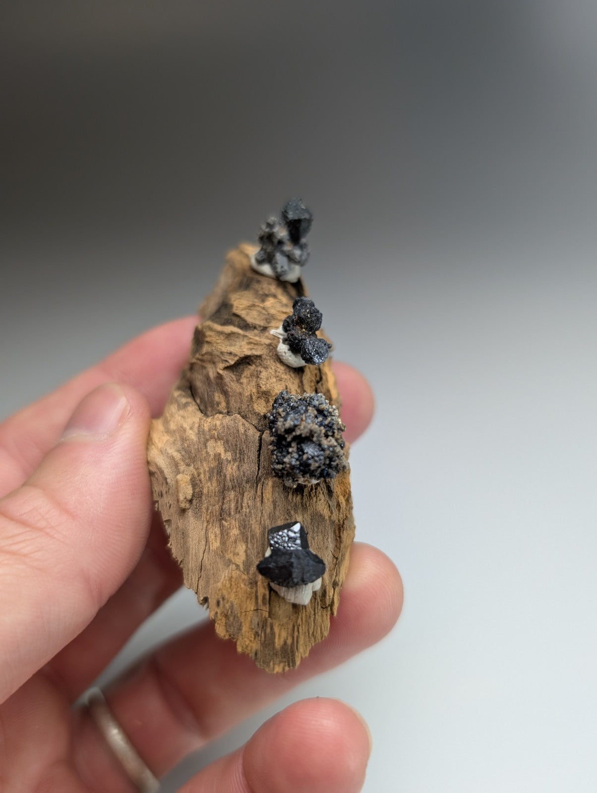 Set of 4 Brookite + Smoky Quartz, Magnet Cove, Arkansas, Old Stock, + wood stand