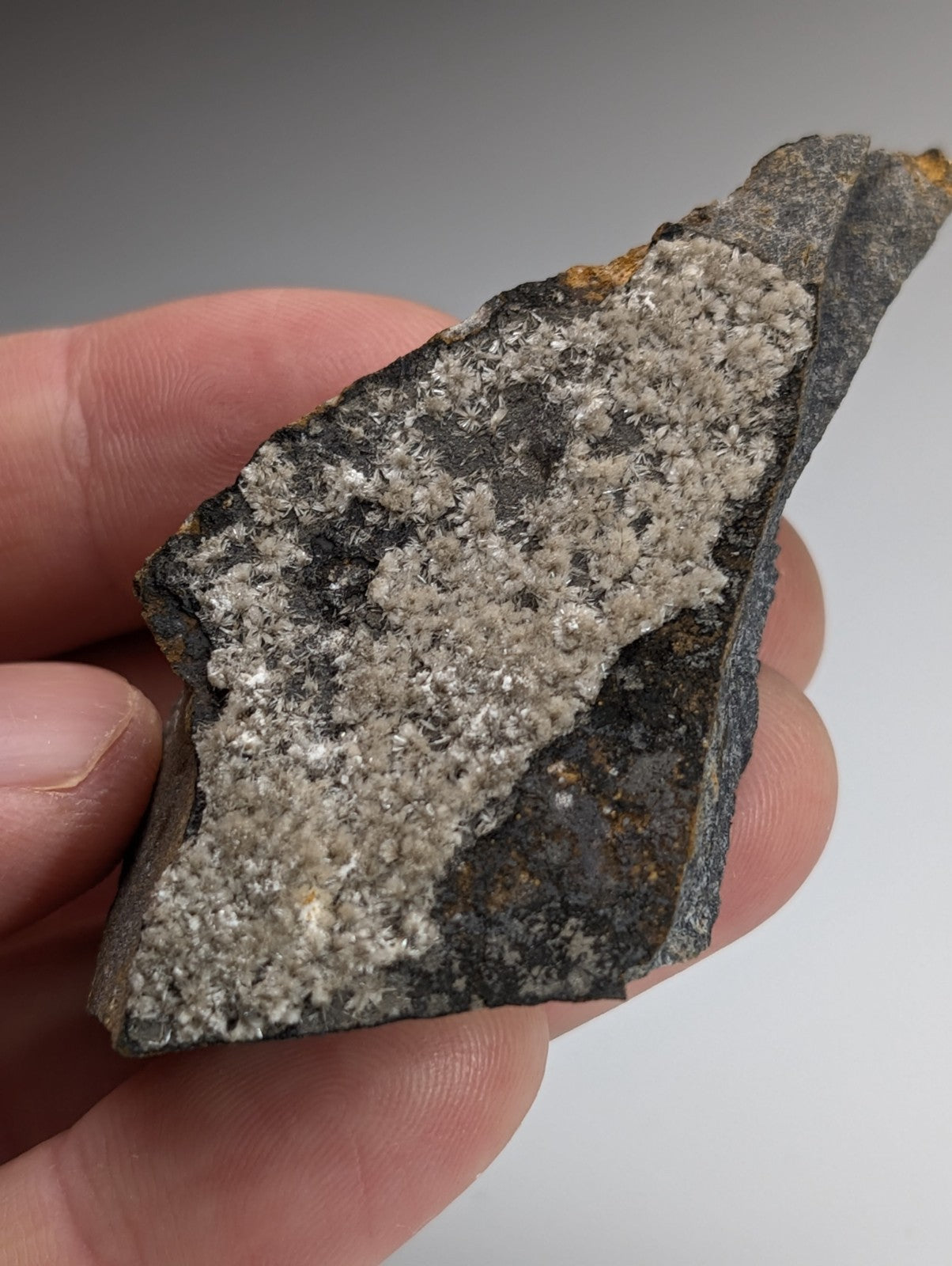 Wavellite - Potash Sulphur Springs, Garland County, Arkansas, ex Delinde, RARE