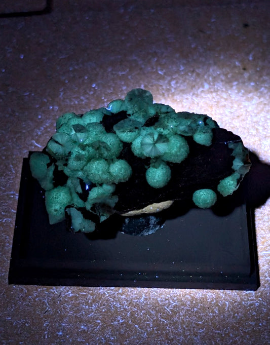 UV Reactive Wavellite - Fantastic Old Stock - Mauldin Mountain, Arkansas, Rare