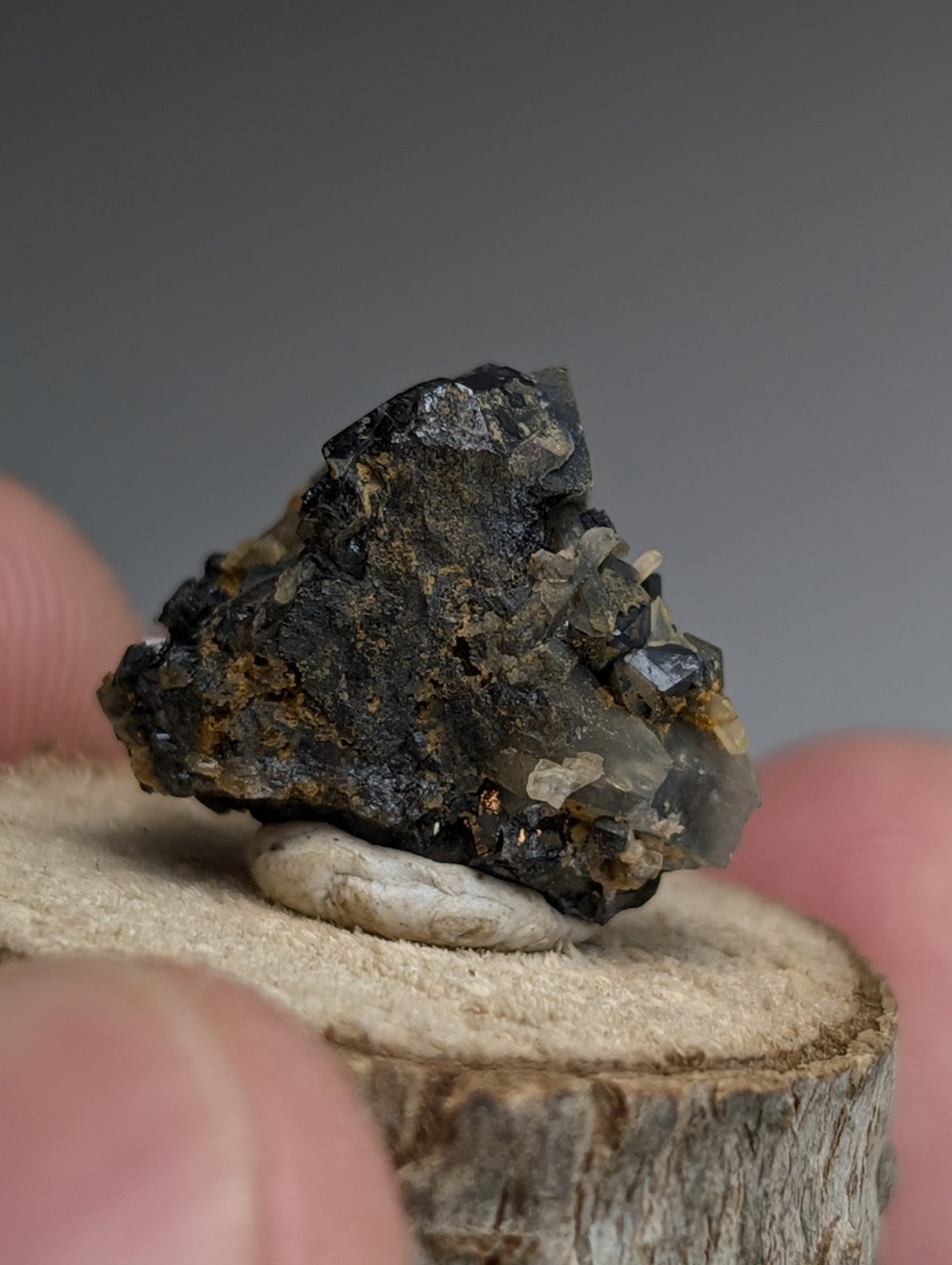 Brookite + Smoky Quartz, Magnet Cove, Arkansas, Old Stock, + wood stand