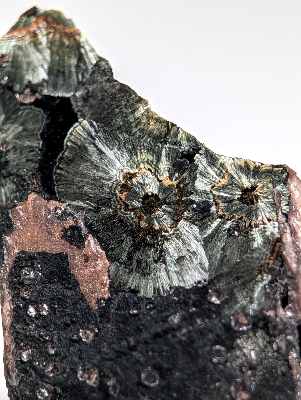 Rare Kidwellite specimen - Coon Creek Mine, Polk County, Arkansas, USA