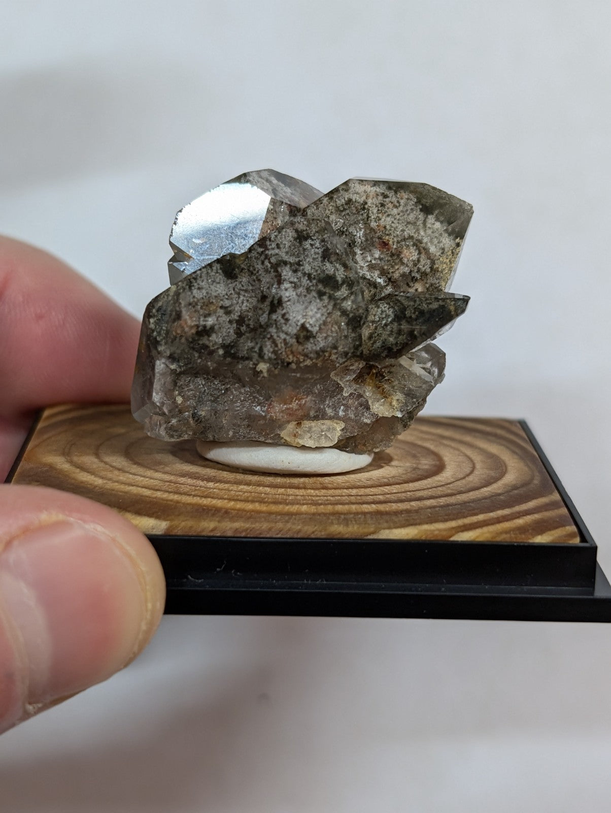 UNIQUE Phantom Quartz, w/ wood mount + photo case  - Garland County, Arkansas