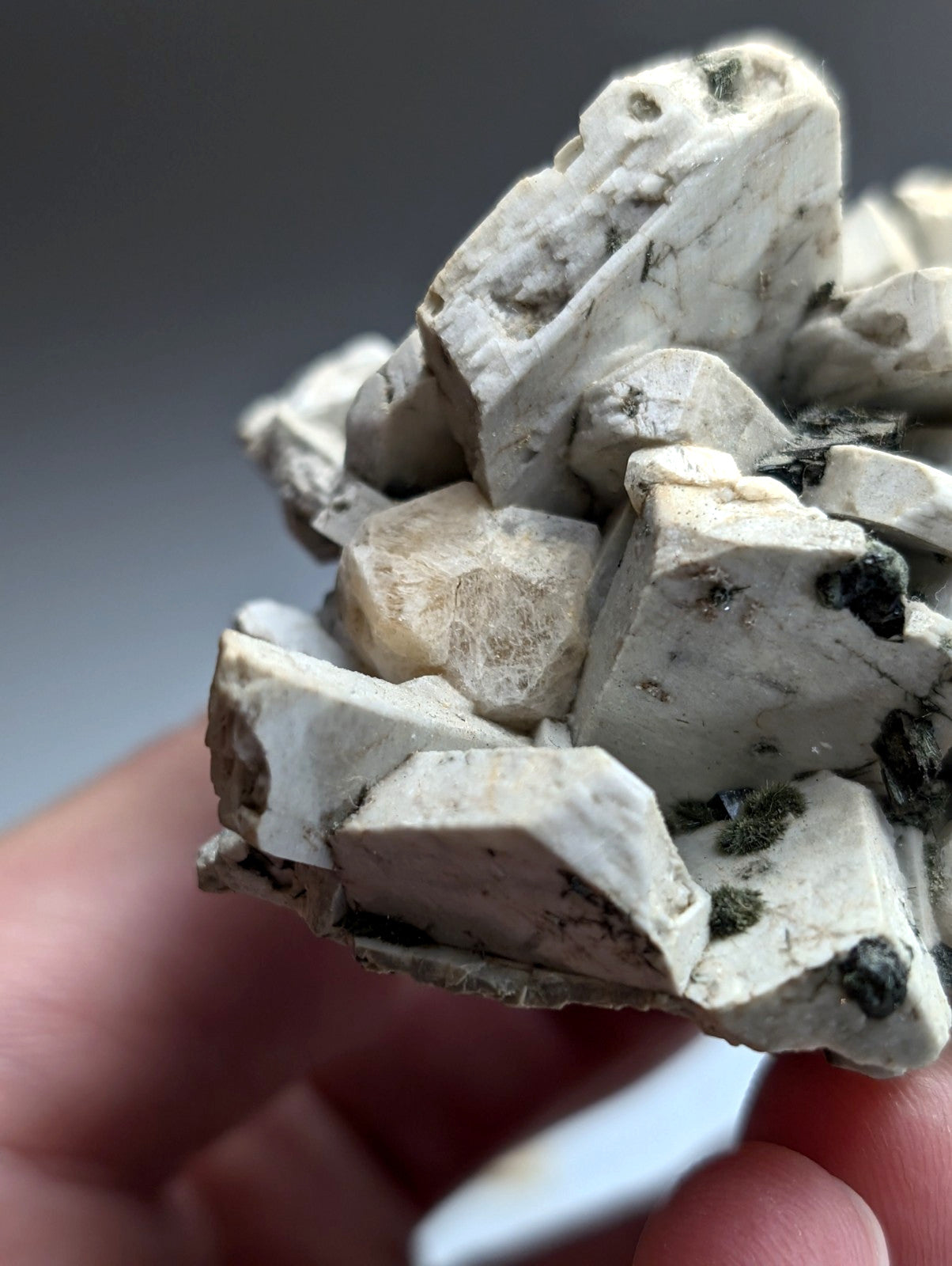 Albite, Biotite, Aegerine, Analcime, 3M Quarry, Little Rock, Arkansas, Delinde!