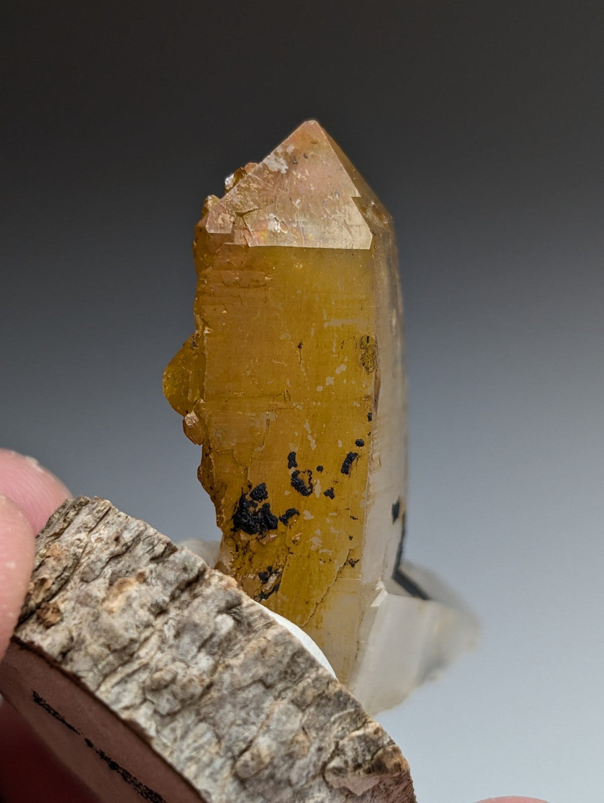 A+ Unique Quartz, Old Stock, Montgomery County, Arkansas, w/ natural wood base