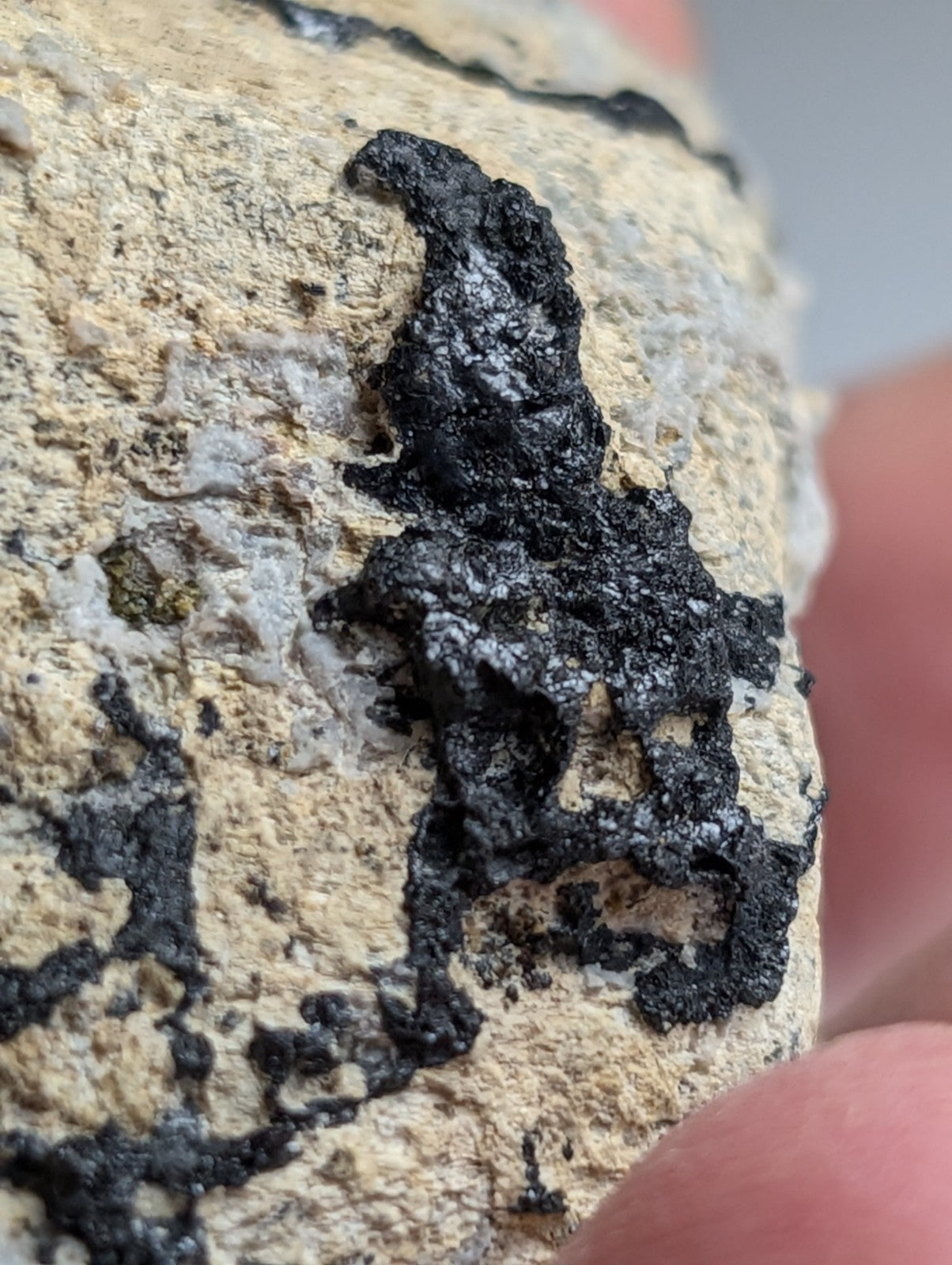 Garnet on Syenite matrix, Magnet Cove, Hot Spring County, Arkansas, Old Stock