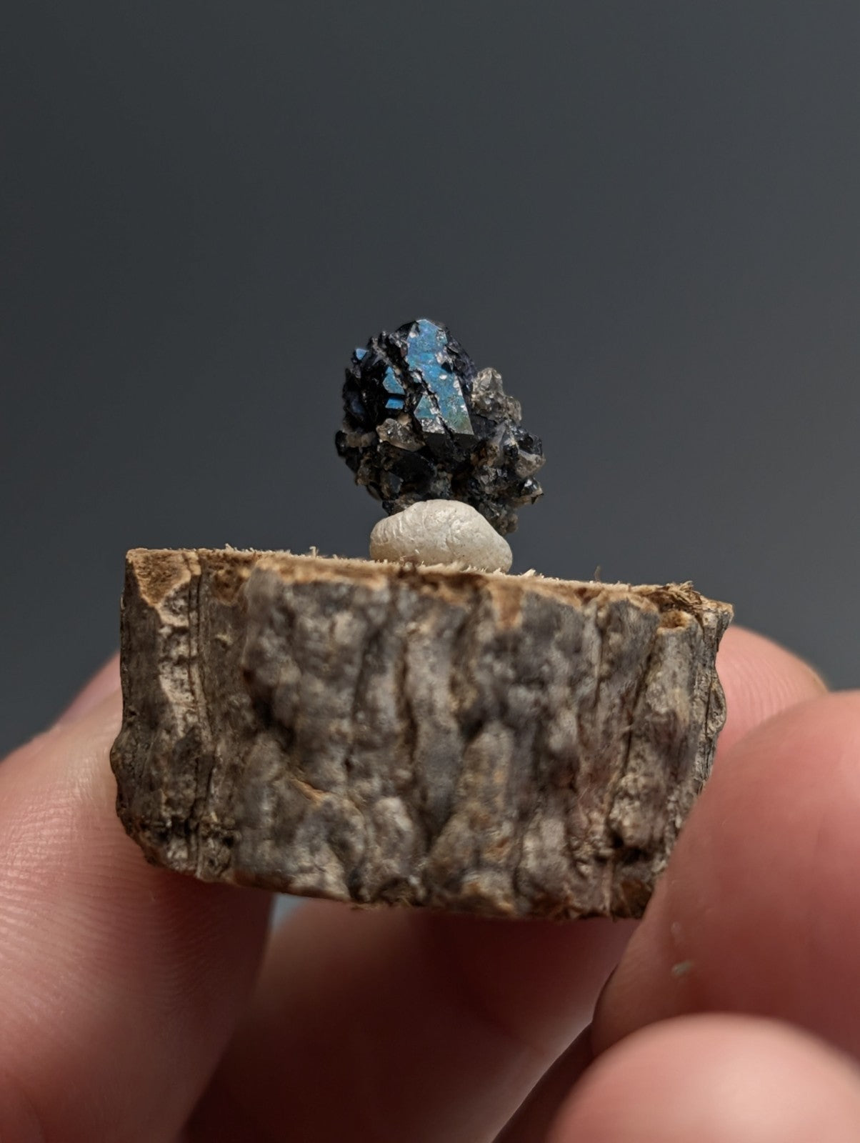 Brookite w/natural iridescence , Magnet Cove, Hot Spring Co. Arkansas, Old Stock