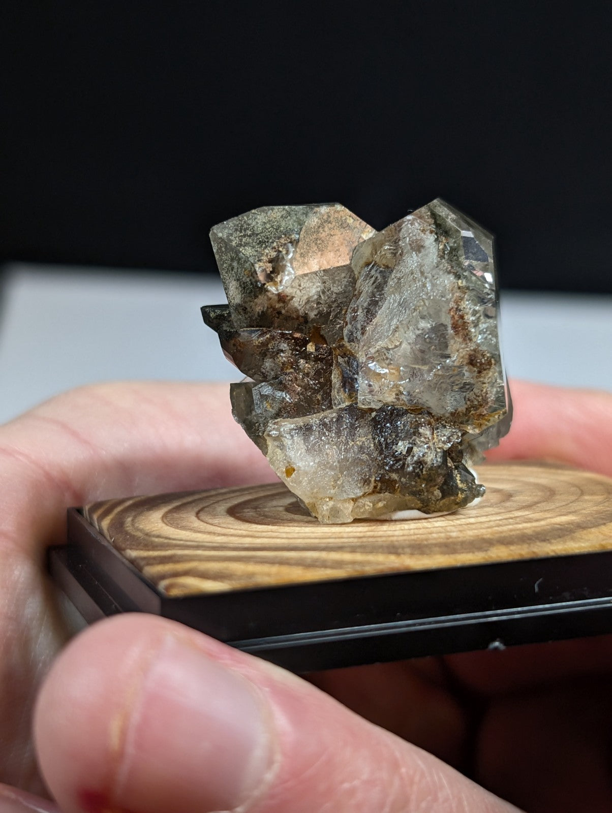 UNIQUE Phantom Quartz, w/ wood mount + photo case  - Garland County, Arkansas