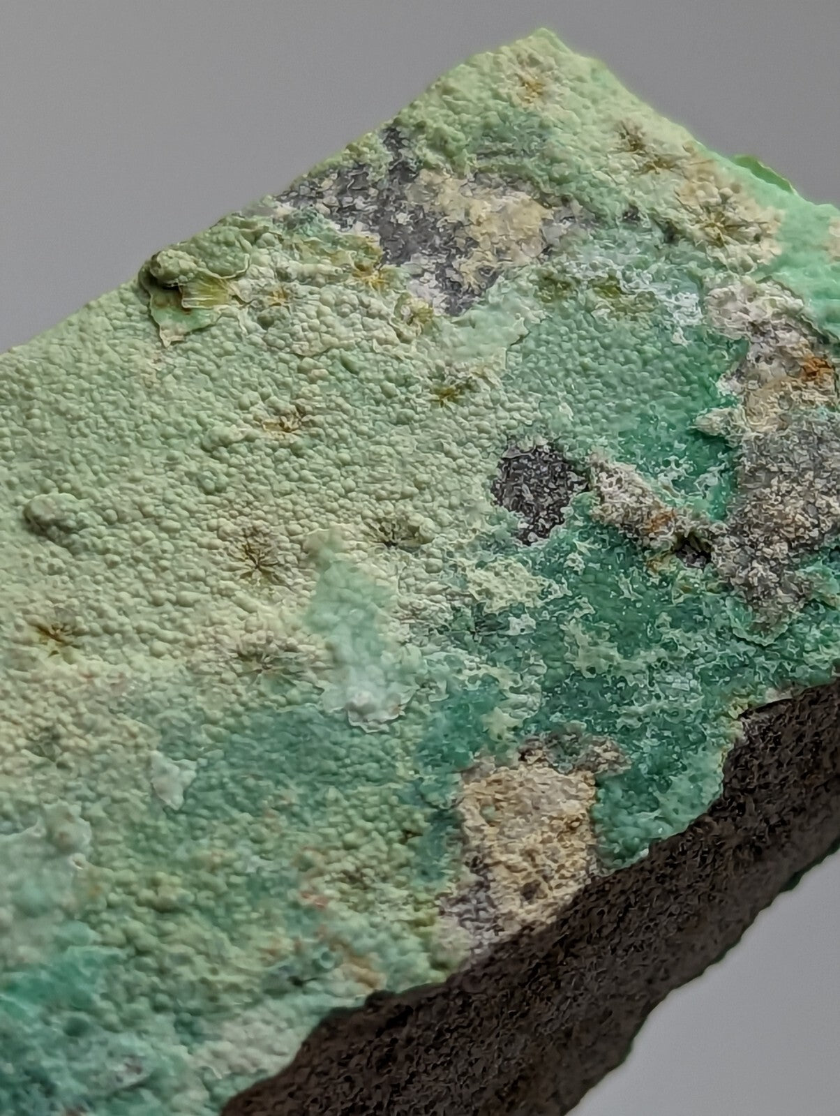 Rare Wavellite Smile Face on Variscite - Old Stock - Garland County, Arkansas