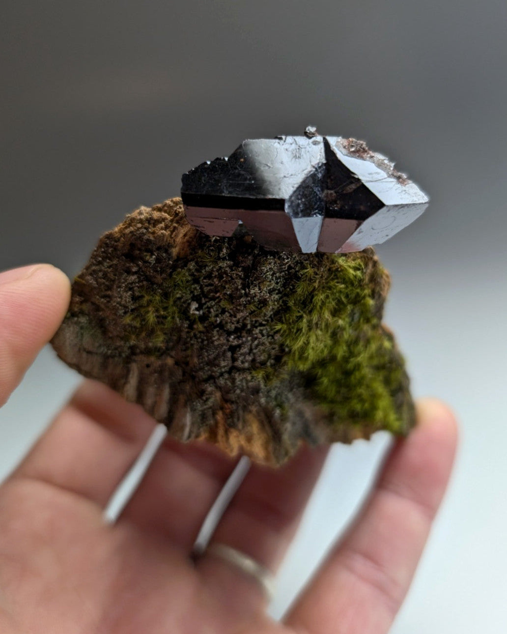 A+ Twinned Rutile Crystal, Graves Mountain, Georgia, USA,  Rare Old Stock