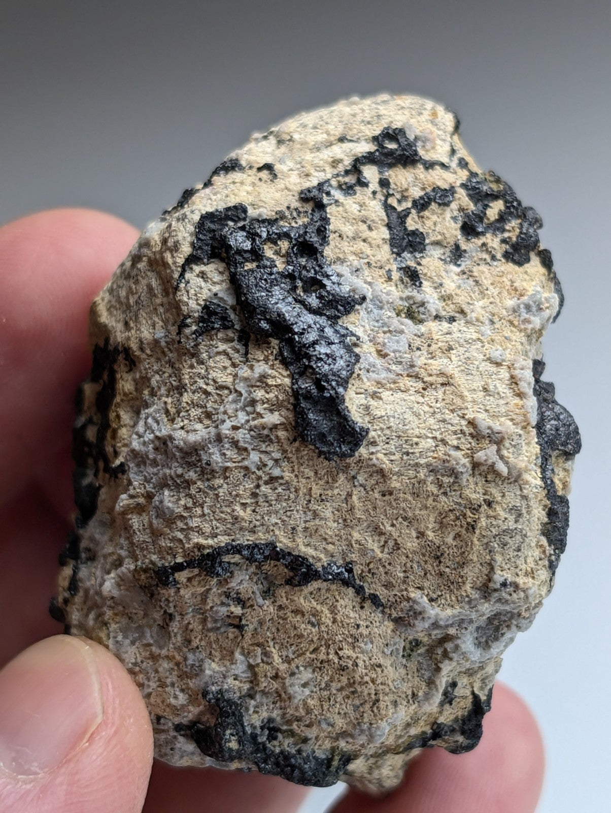 Garnet on Syenite matrix, Magnet Cove, Hot Spring County, Arkansas, Old Stock