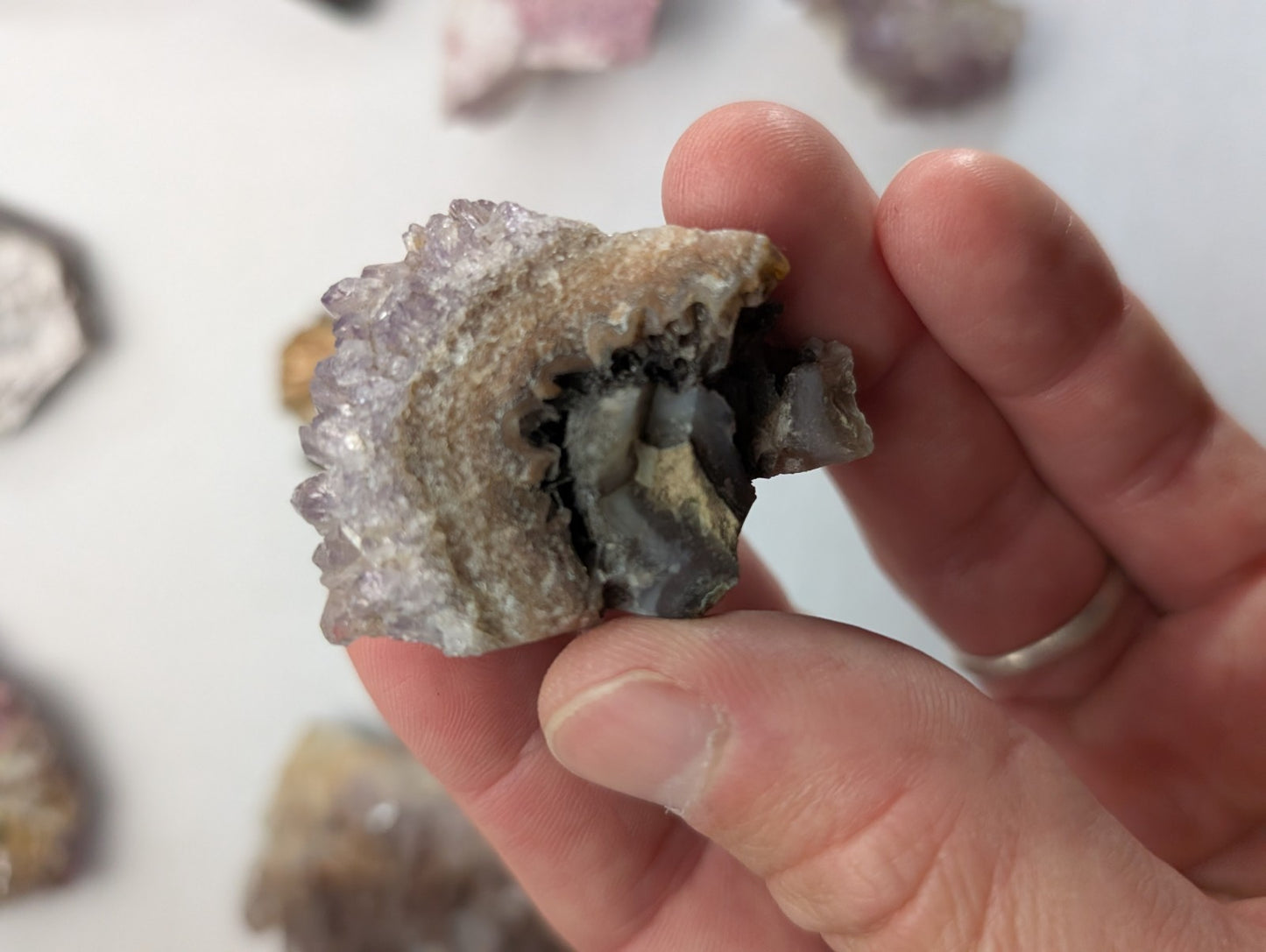 Amethyst, Tourmaline, Apatite, Pyrophyllite, Lepidolite, Flat of 9 OOAK Minerals