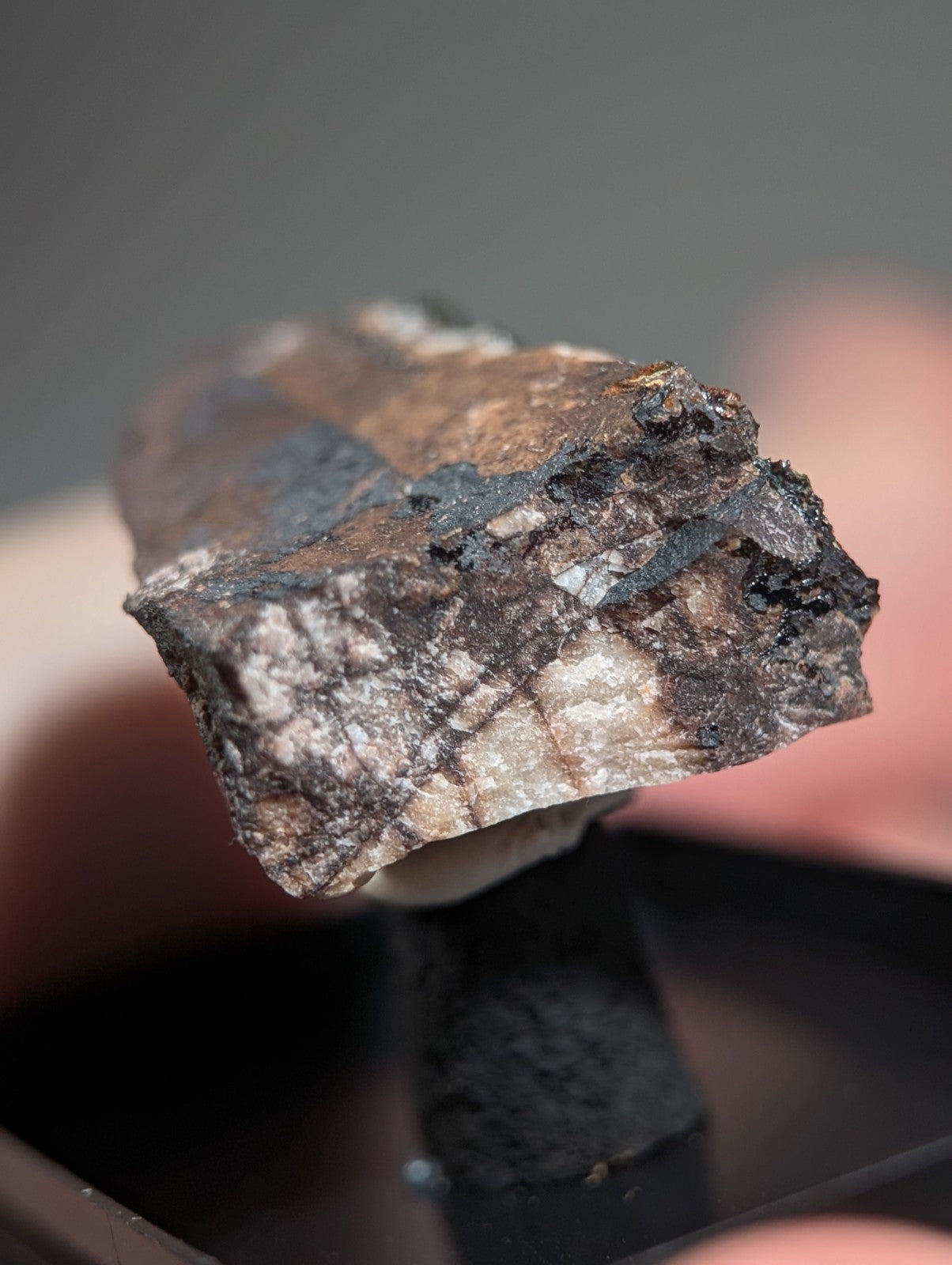 Rare Kidwellite on Novaculite - Coon Creek, Polk County, Arkansas, w/ photo case