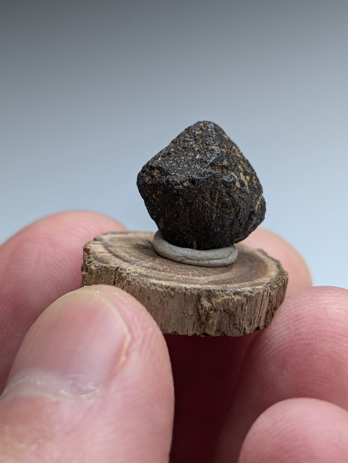 Magnetite crystal, Magnet Cove, Hot Spring County, Arkansas, USA, Old Stock