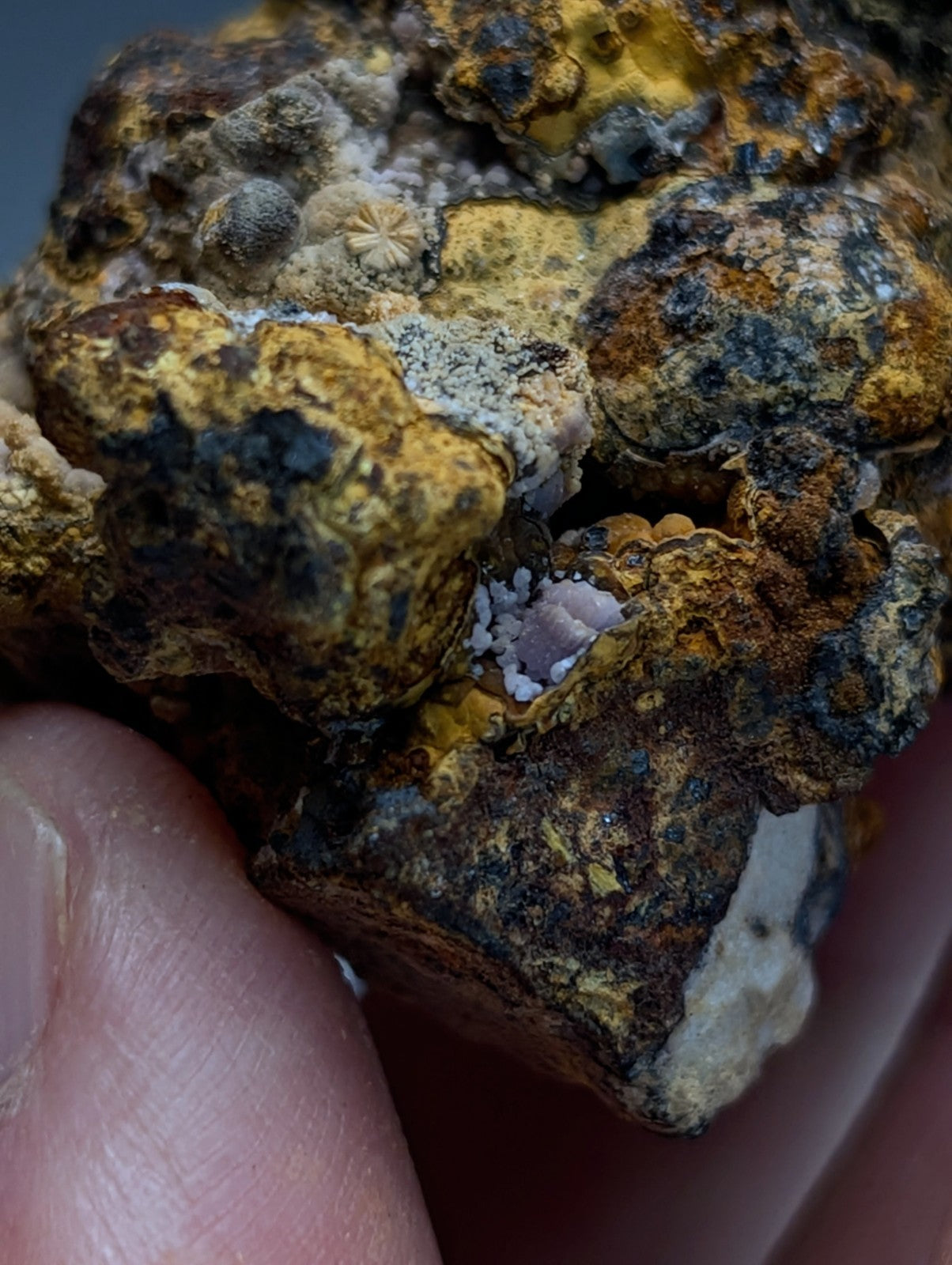 Super Rare Strengite + Cacoxenite, etc, Coon Creek Mine, Polk Co, Arkansas, USA
