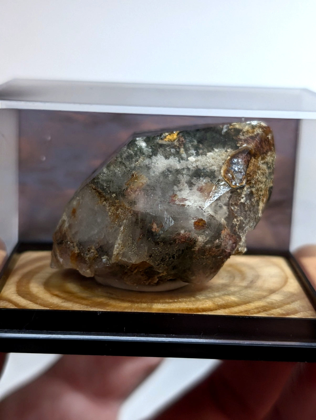 UNIQUE Phantom Quartz, w/ wood mount + photo case  - Garland County, Arkansas